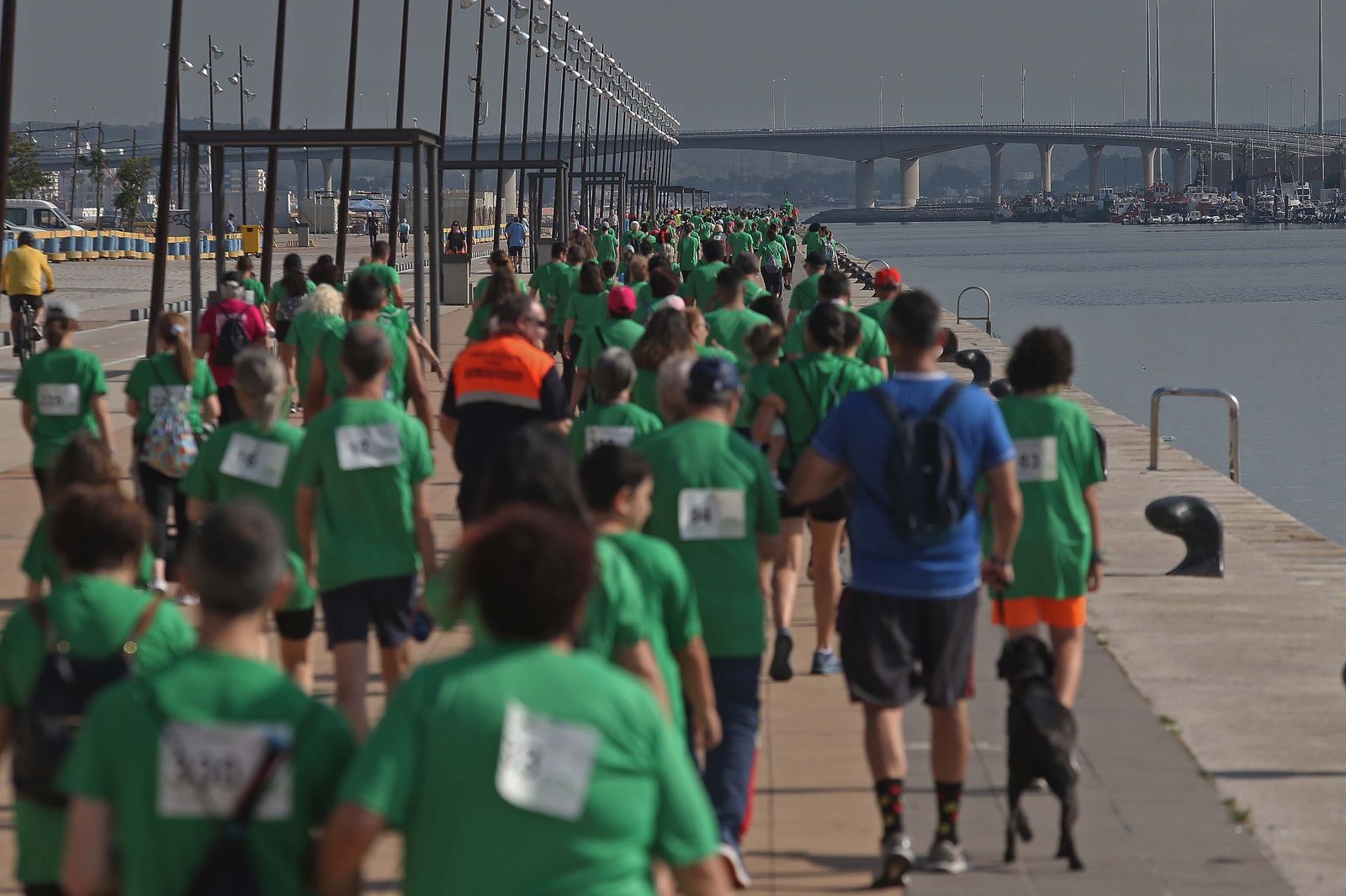 La II Carrera en marcha contra el cáncer celebrada en Algeciras, en imágenes.