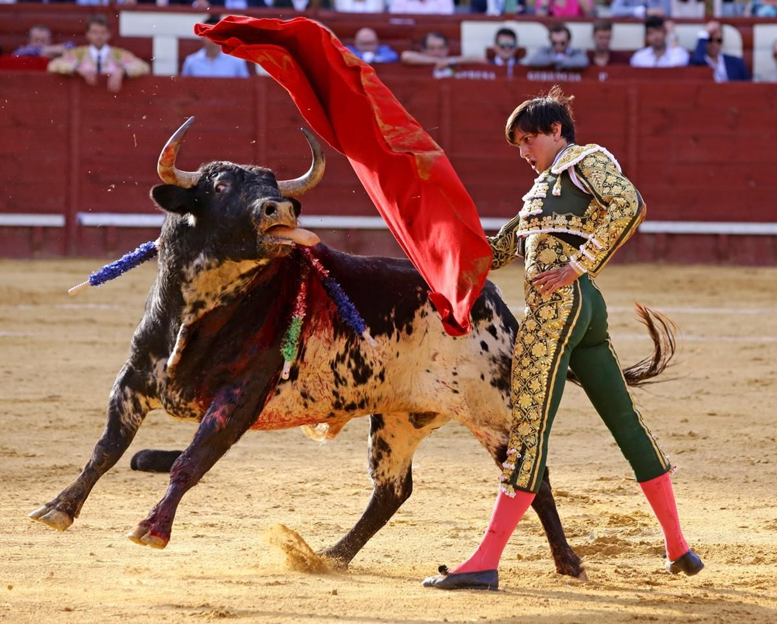 La respuesta de Roca Rey en el sexto a la arrucina que dio Talavante en su primero.