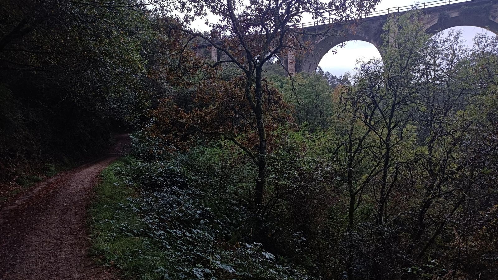 El recorrido atraviesa bellos tramos de bosque.