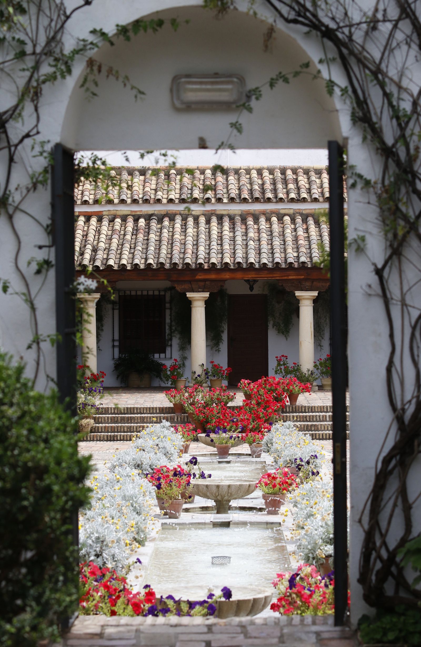Las fotografías de los primeros paseos por el Palacio de Viana de Córdoba tras el confinamiento