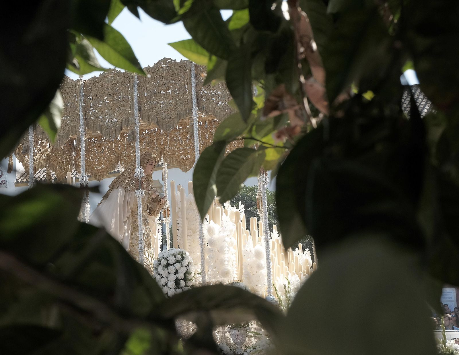 Traslado de la Virgen de la Salud de San Gonzalo a la Catedral para su coronación