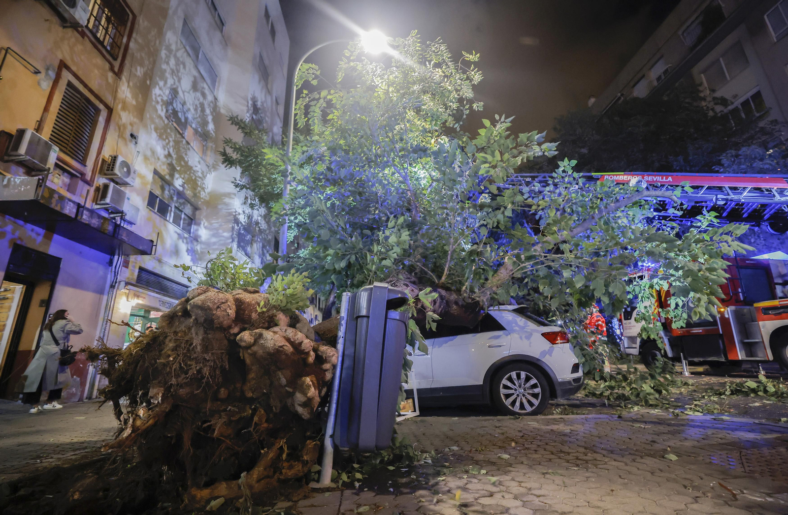 Los efectos de la borrasca 'Bernard' en Sevilla, todas las fotos