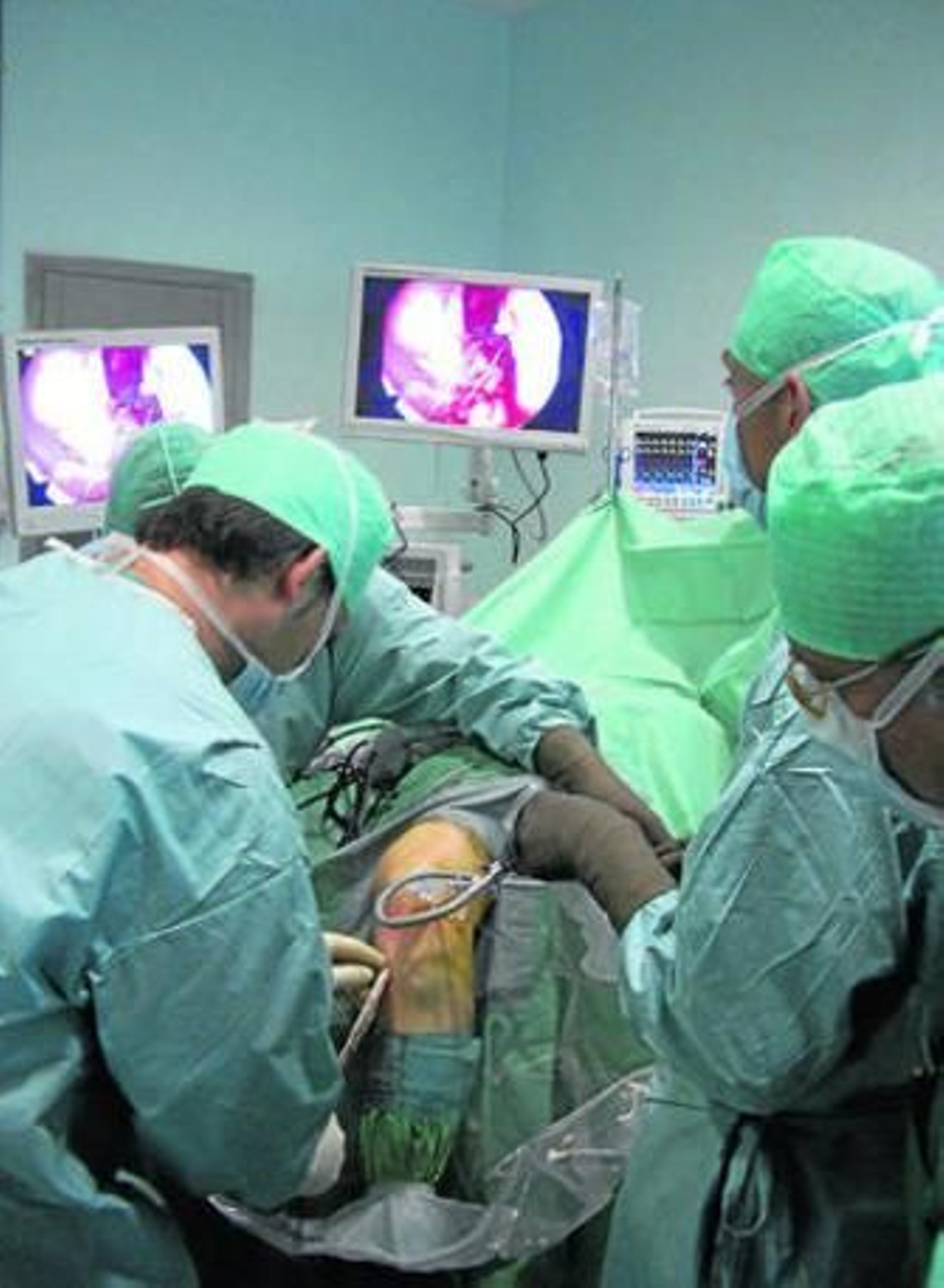 La donación de hueso y tendones hace posible más de 500 operaciones al año