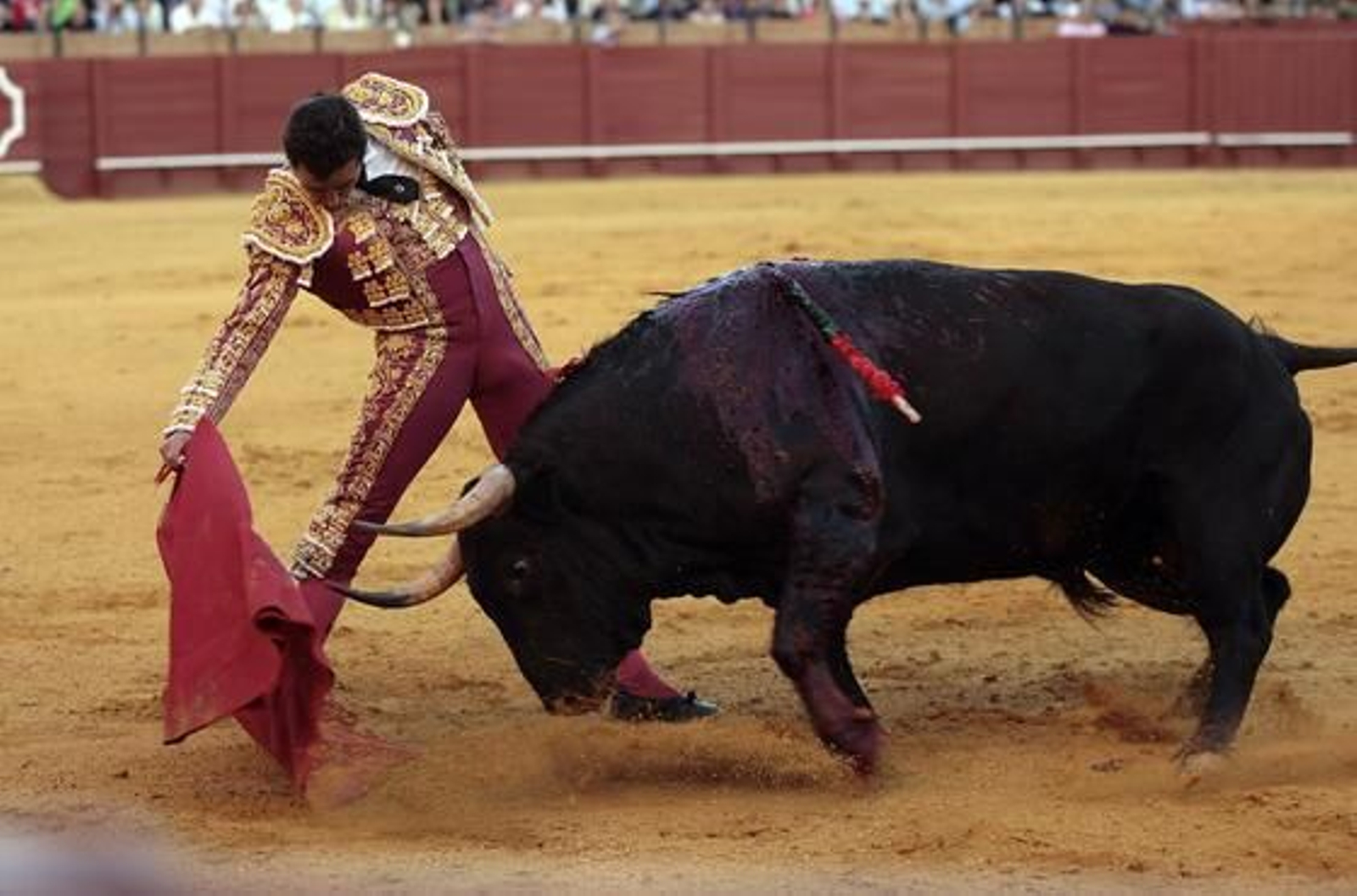 Foto: Juan Carlos Muñoz