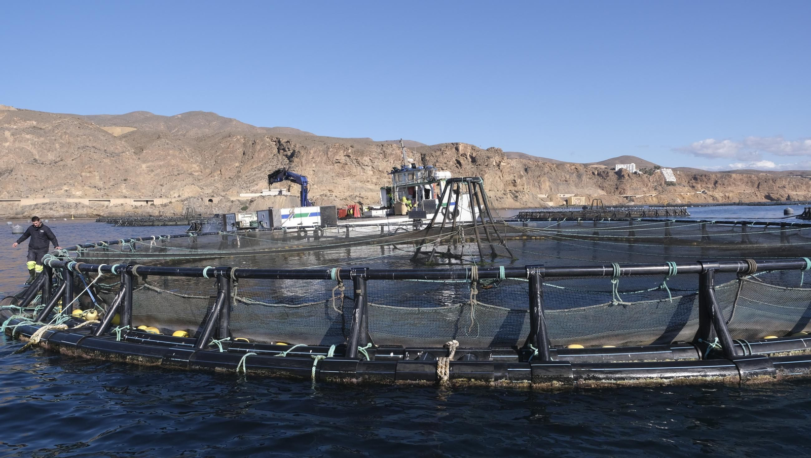 La piscifactoría de El Cañarete, en imágenes