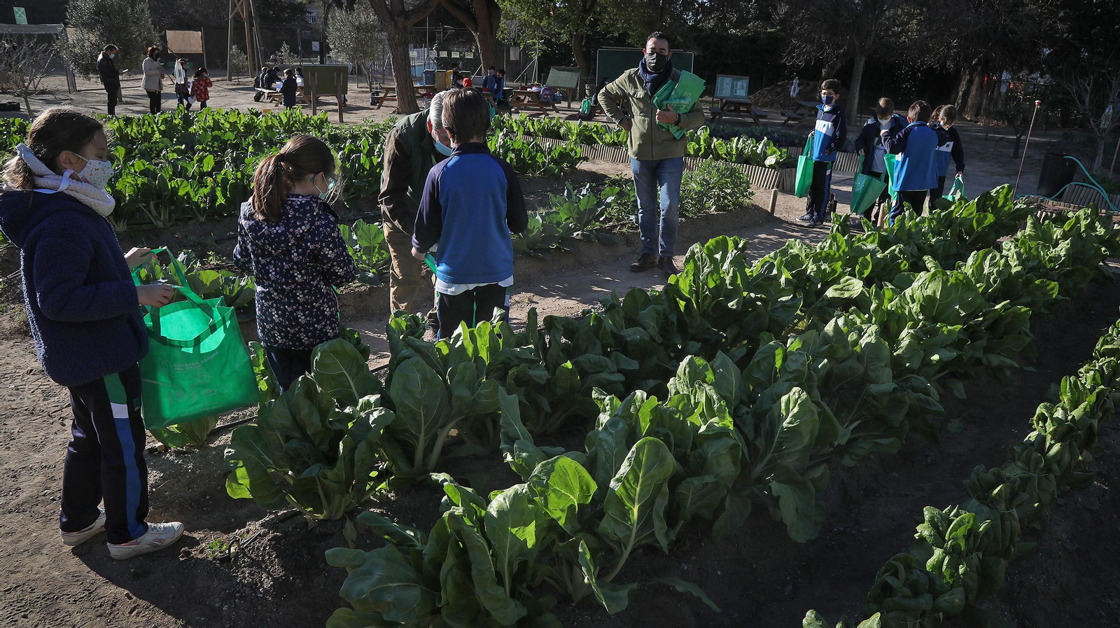 Huerto ecológico y educativo en Los Marianistas