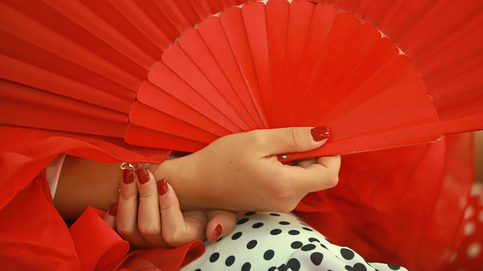 Las mejores fotos del 149º pleno institucional del Ayuntamiento de La Línea