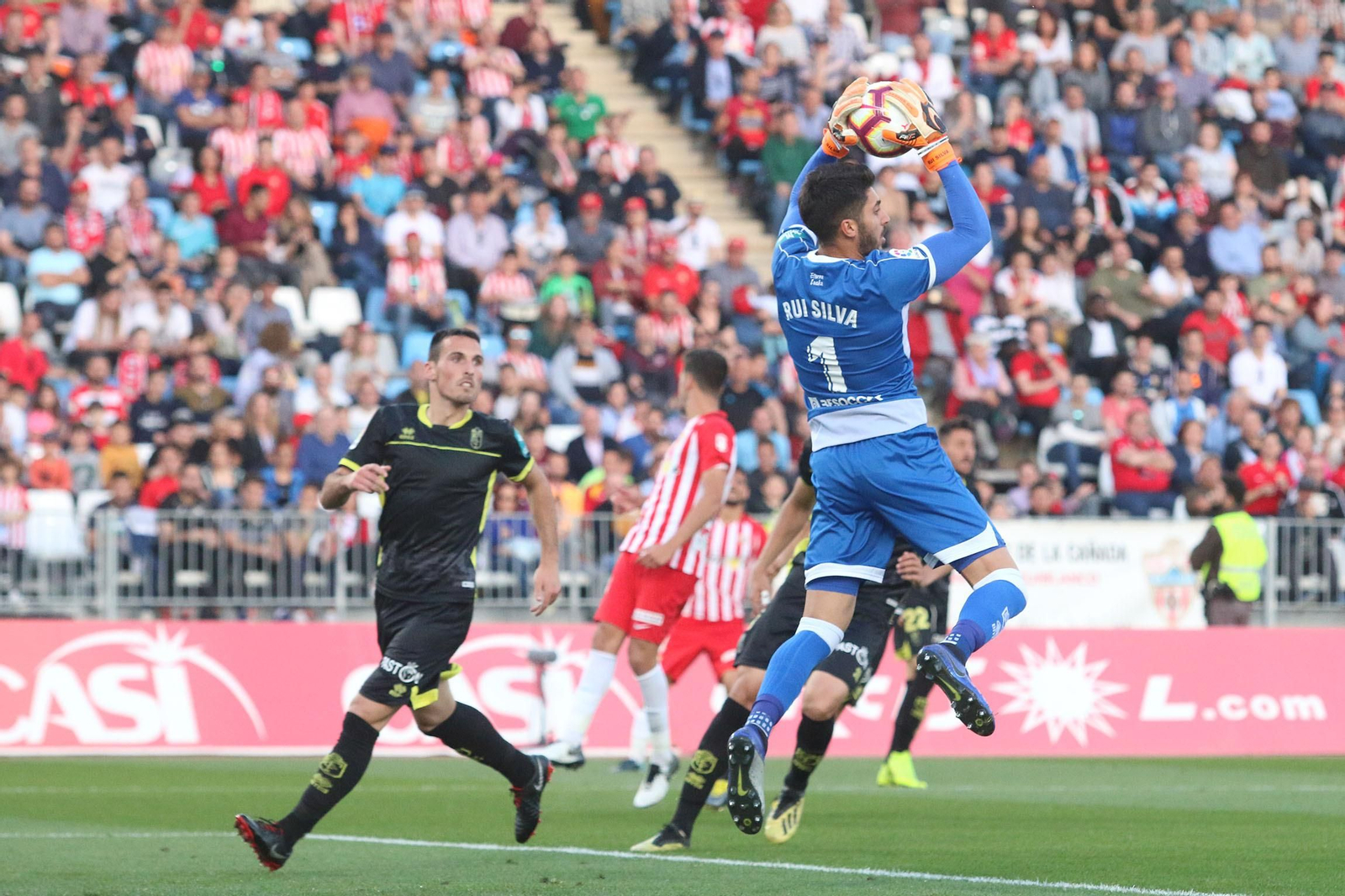 Fotogalería del Almería-Granada