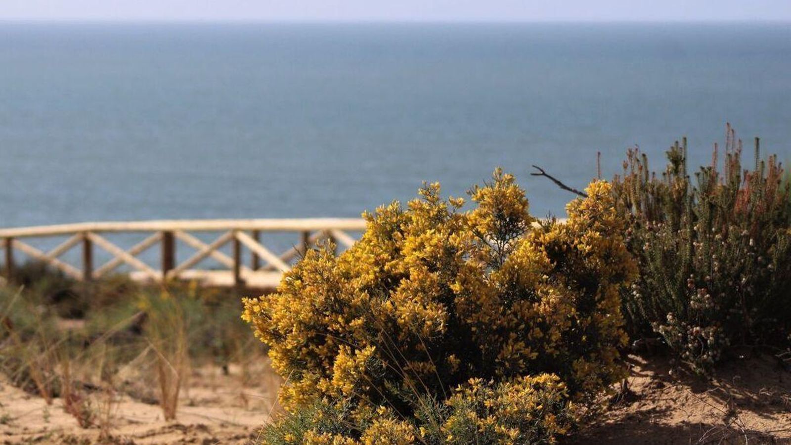 Sendero Laguna del Jaral
