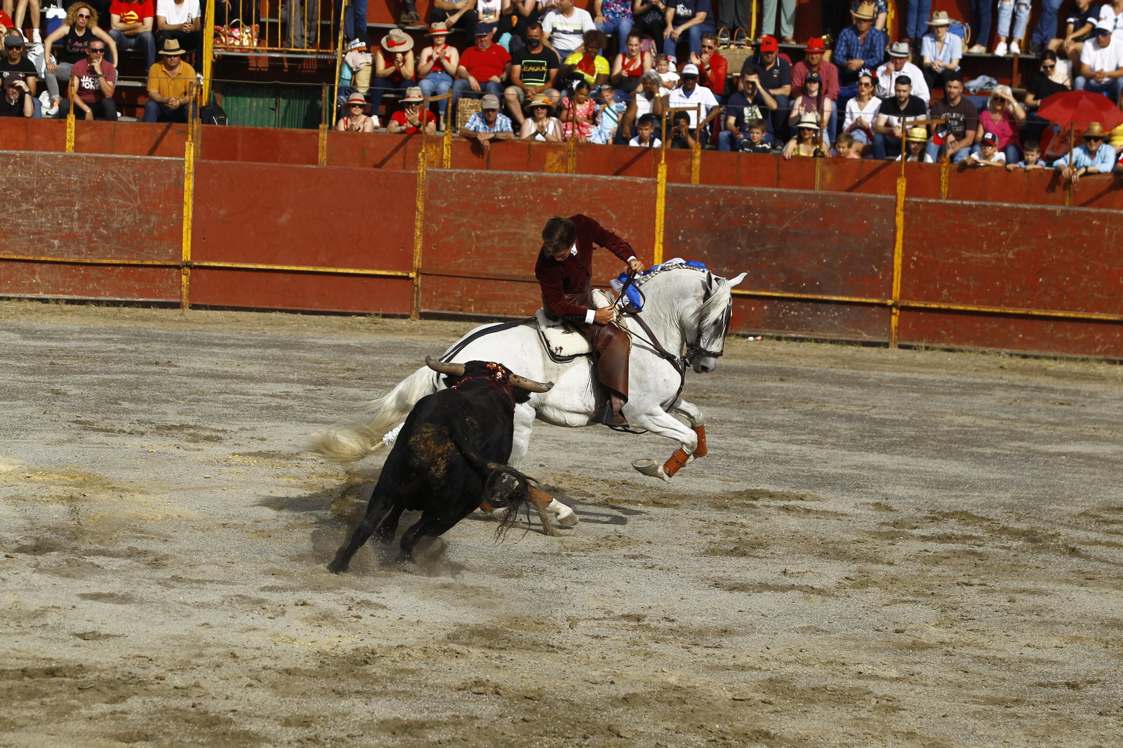 Imágenes de la corrida de toros en las Fiestas de Abrucena.