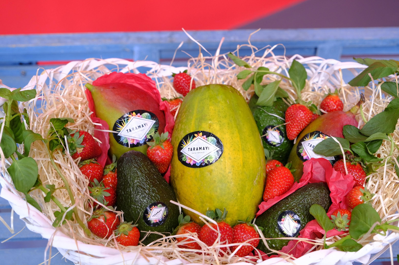 Fotogalería inauguración planta La Unión Nice en Adra.