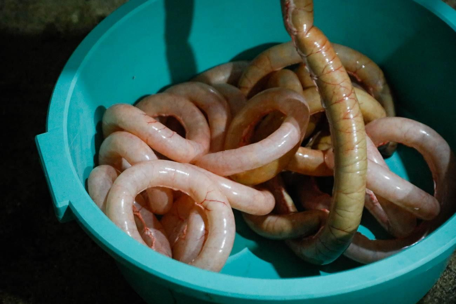 Te contamos en imágenes como son las matanzas en Chirivel