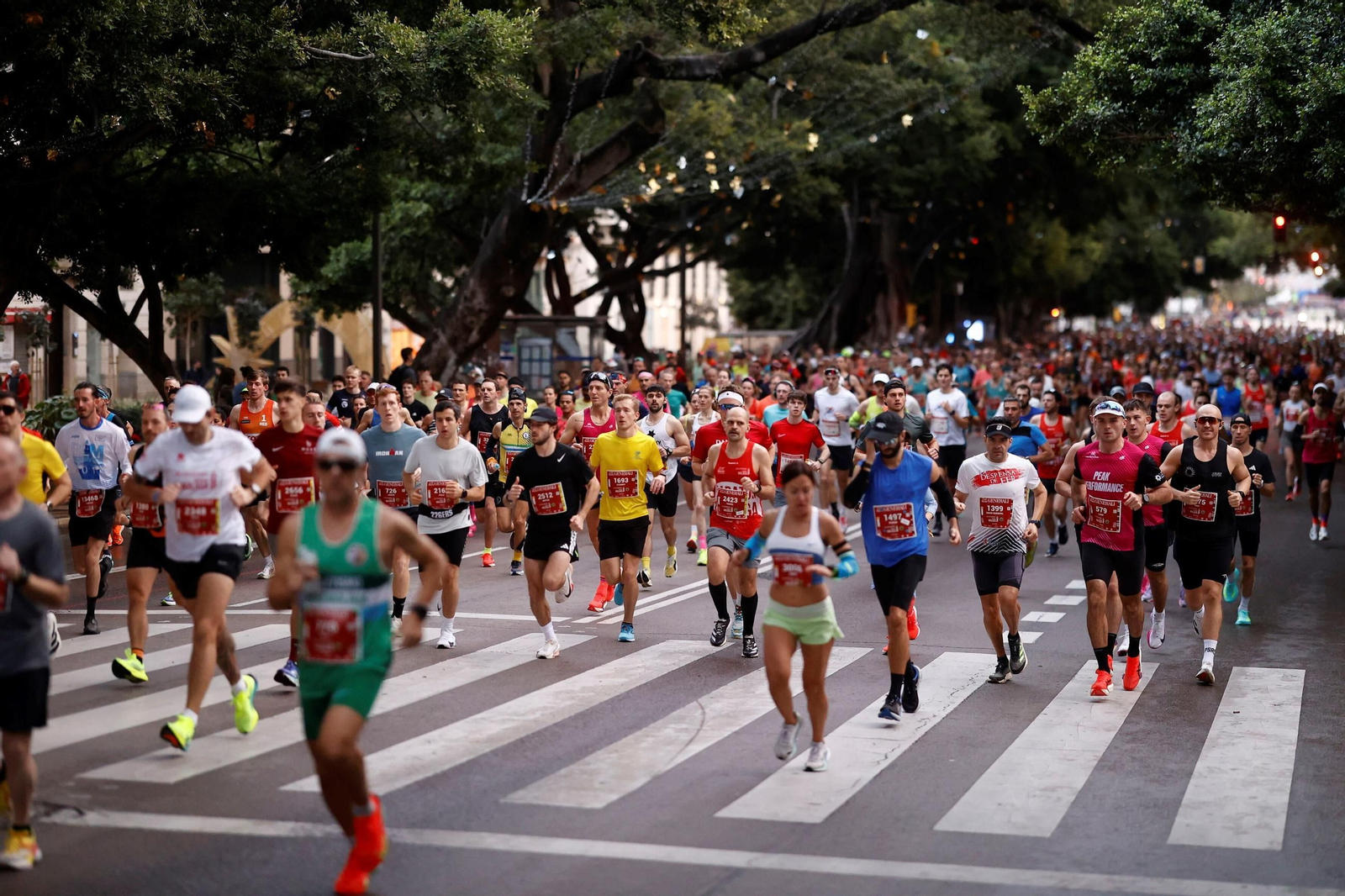 Las fotos de la Maratón de Málaga 2025