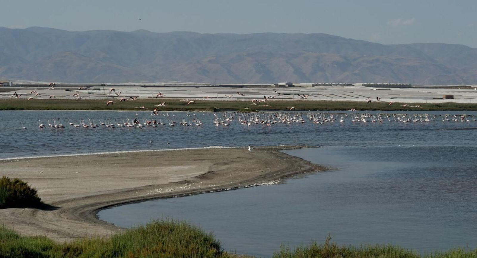 Playa Punta Entinas Sabinar (Roquetas)