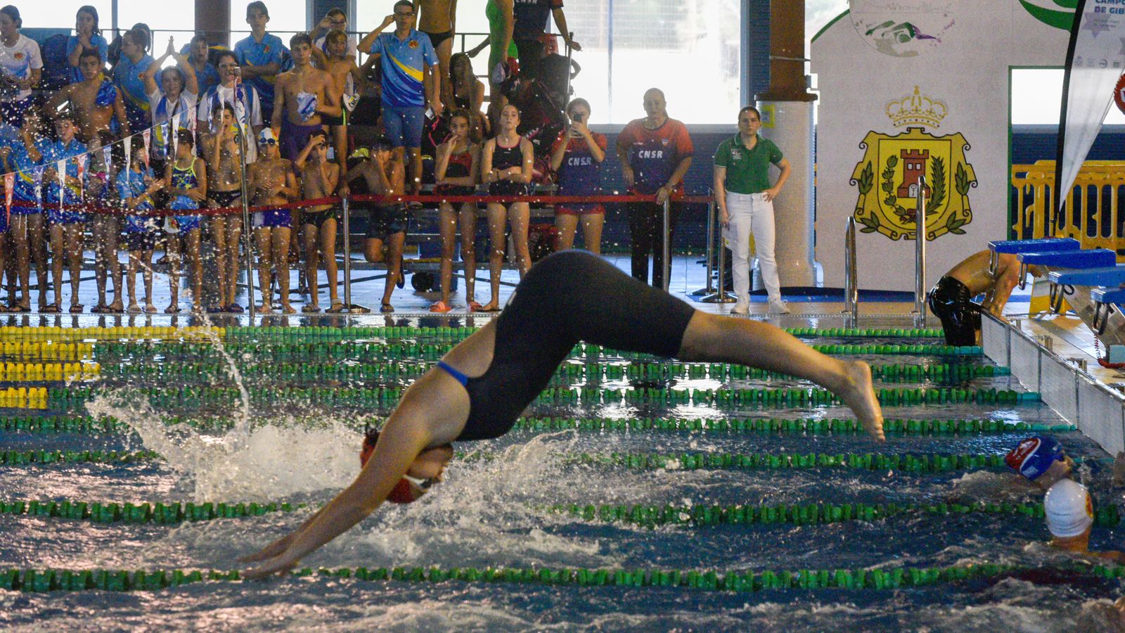 Fotos del Torneo de natación Campo de Gibraltar, en Los Barrios