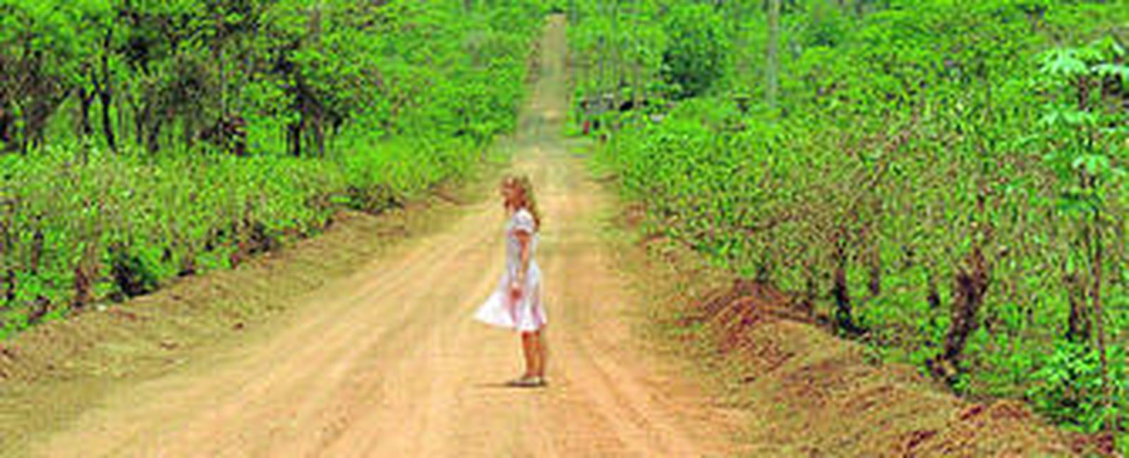 Arriba, un fotograma de 'White material', de Claire Denis. En el centro, una imagen de 'The time that remains', de Elia Suleiman.