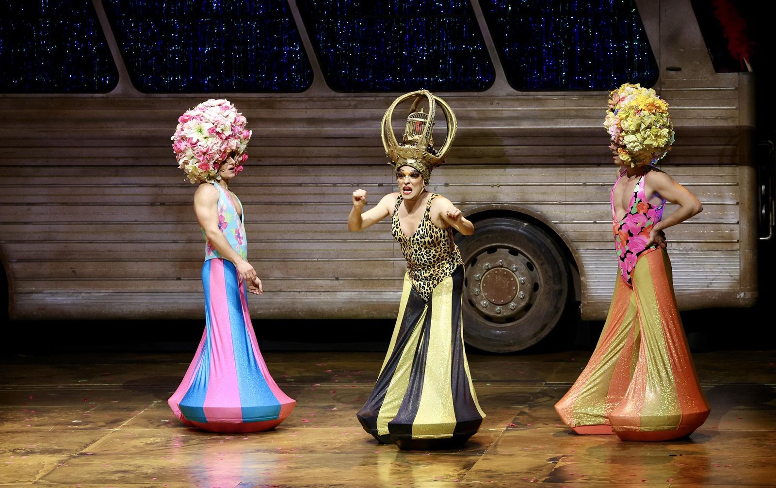 PRISCILLA, Reina del desierto