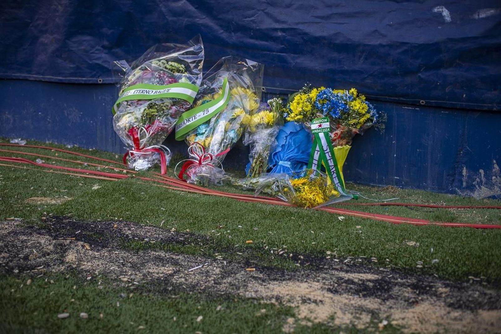 Imágenes del partido Cádiz-Reus