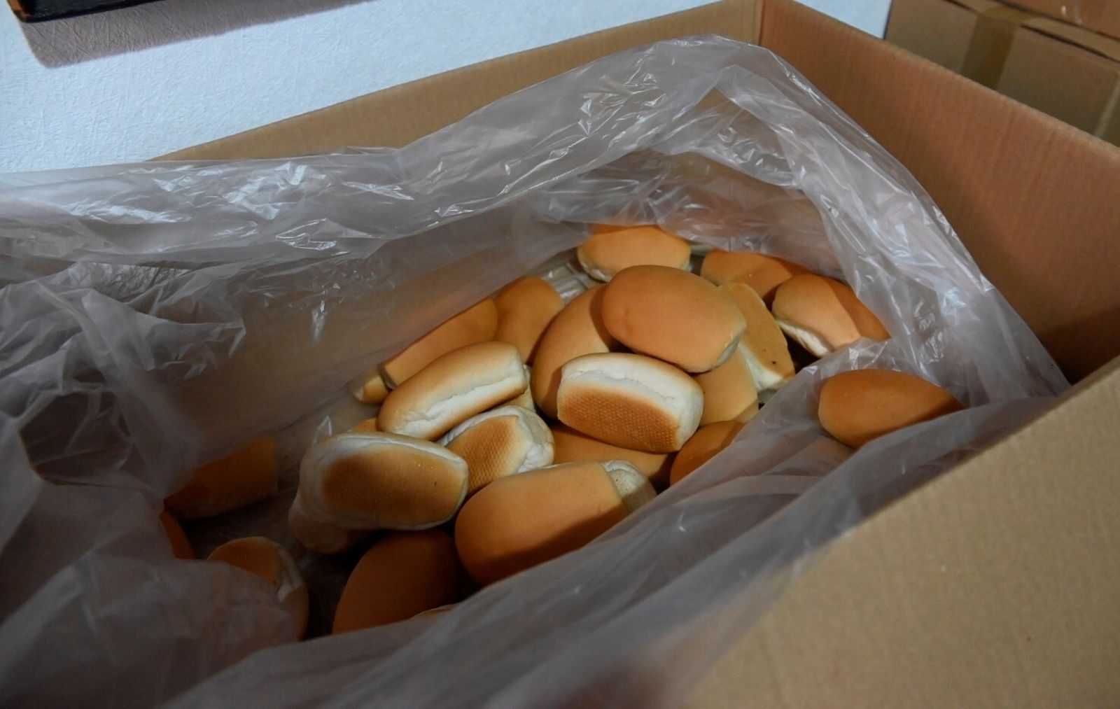 Las mejores imágenes de la celebración del pan bendito de San Antonio de Córdoba