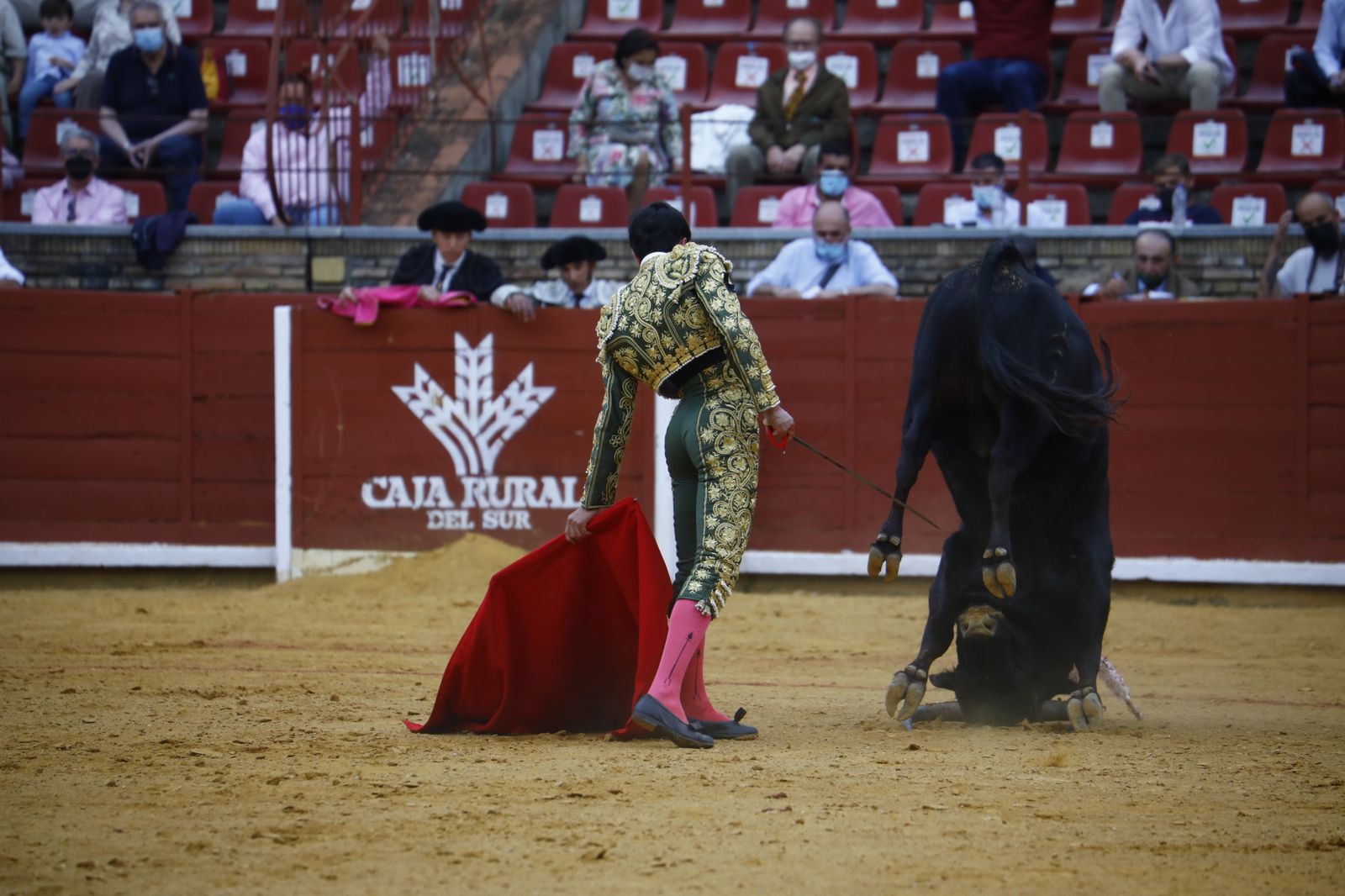 Las fotografías de la novillada con picadores de la Feria Taurina de Córdoba