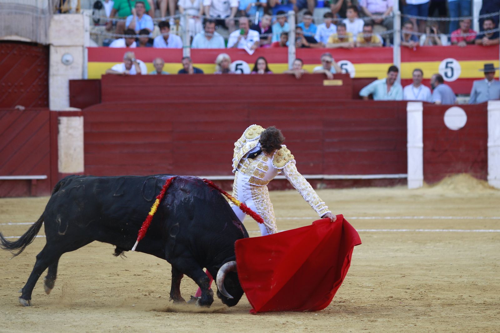 Imágenes del triunfo del torero almeriense Jorge Martínez el día de su alternativa
