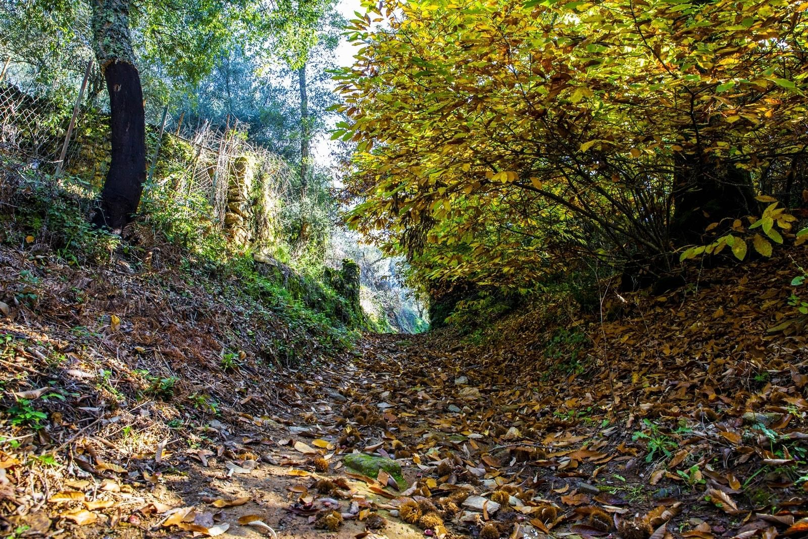 Huelva, volver a lo esencial