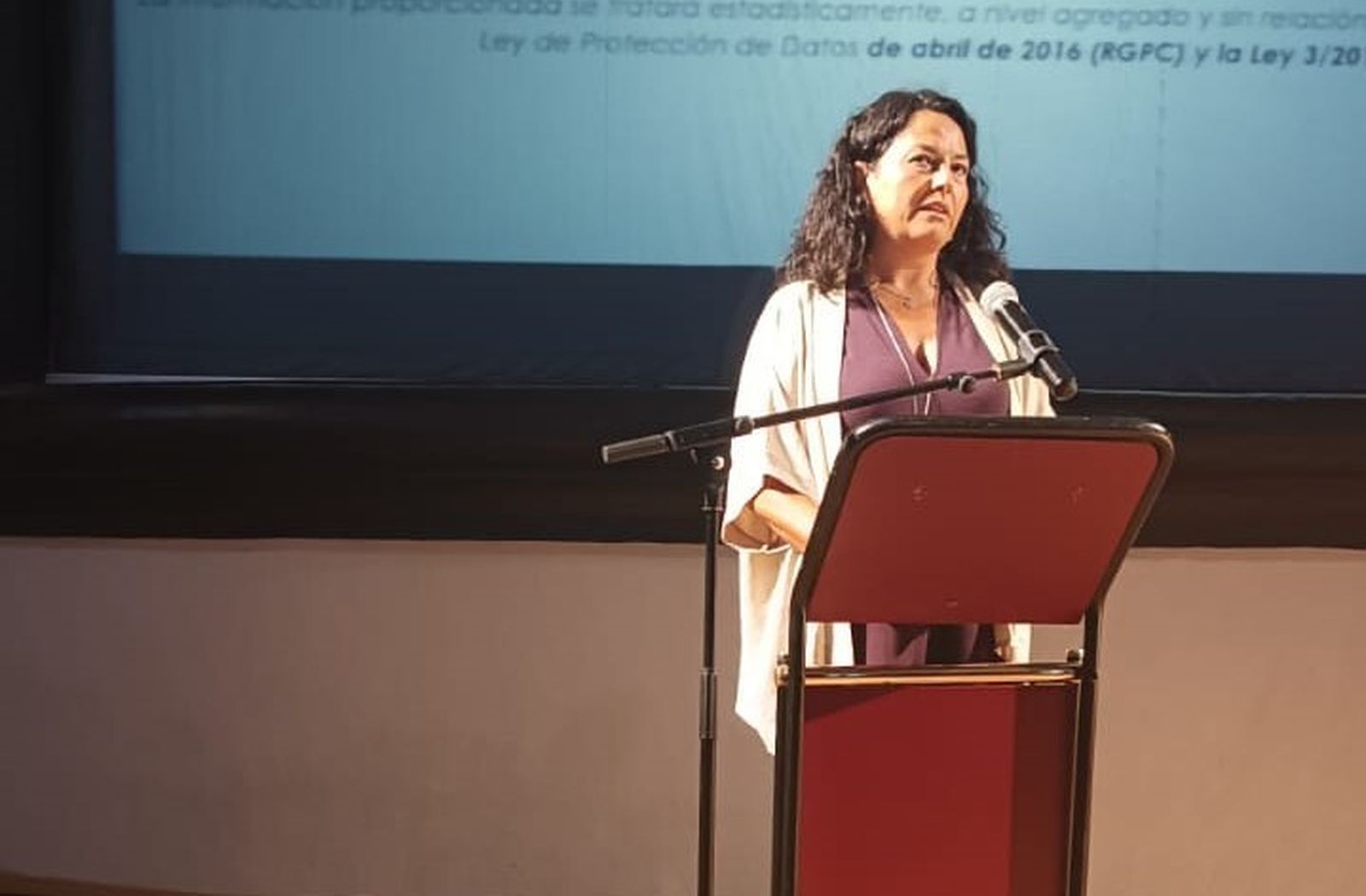 La consejera del CSN Elvira Romera durante su intervención.