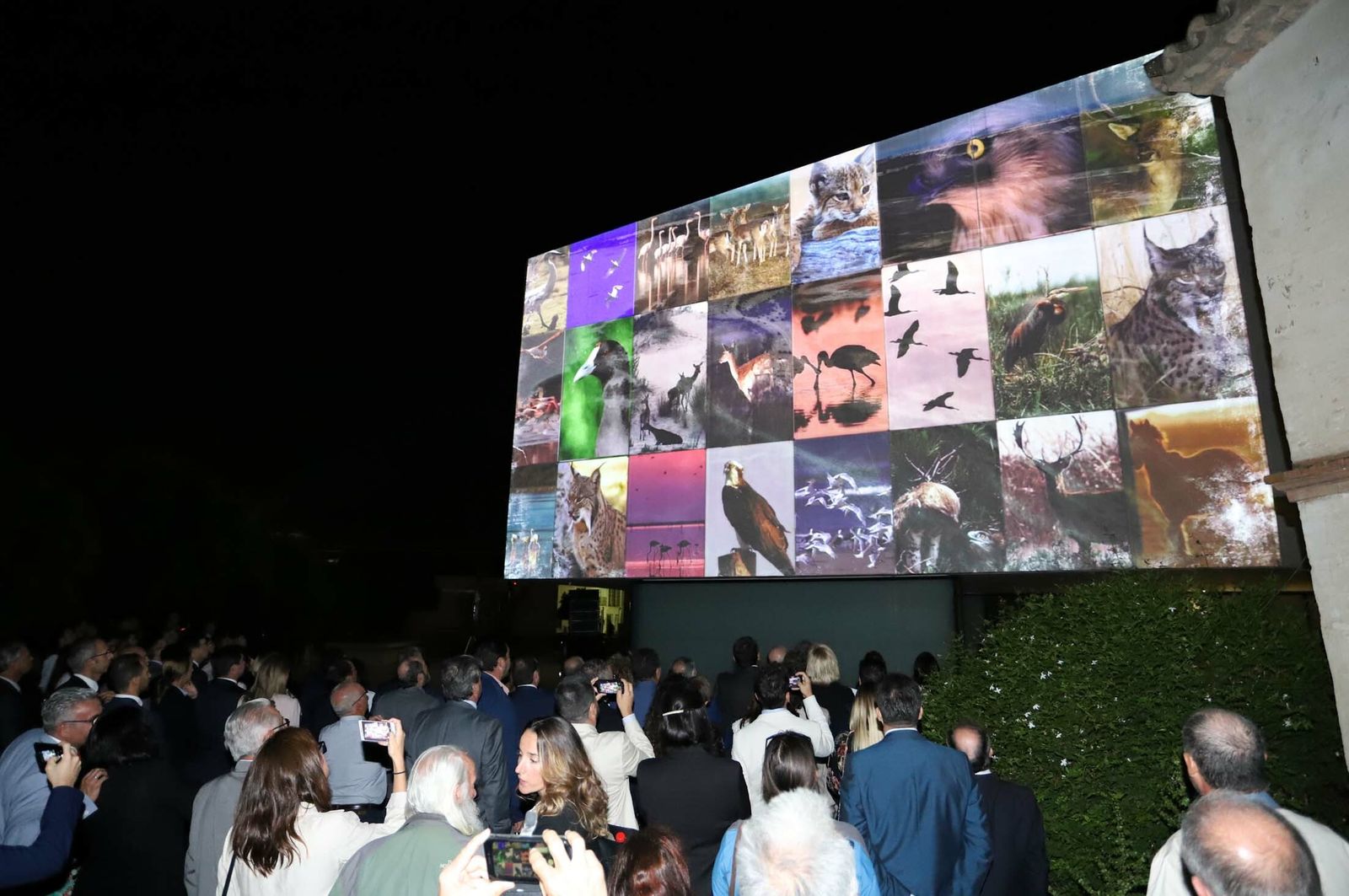 Imágenes del acto del 50 aniversario de Doñana