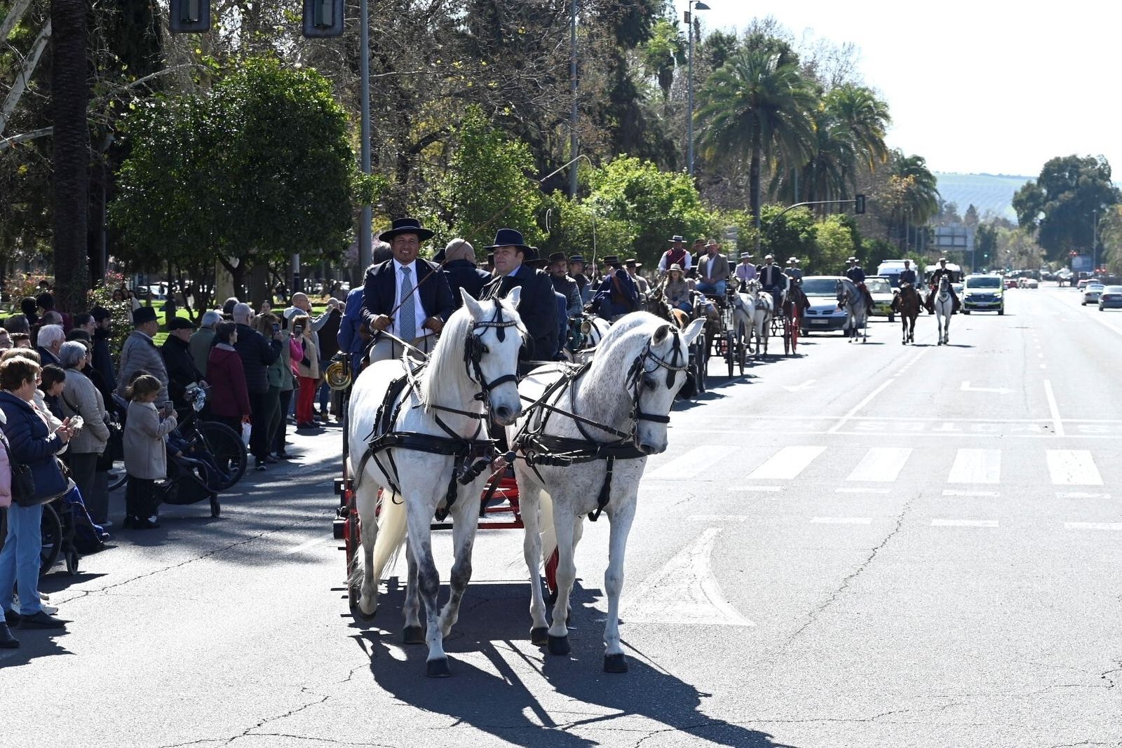 Las mejores fotografías la Marcha Hípica 'Córdoba a Caballo' por el 28F