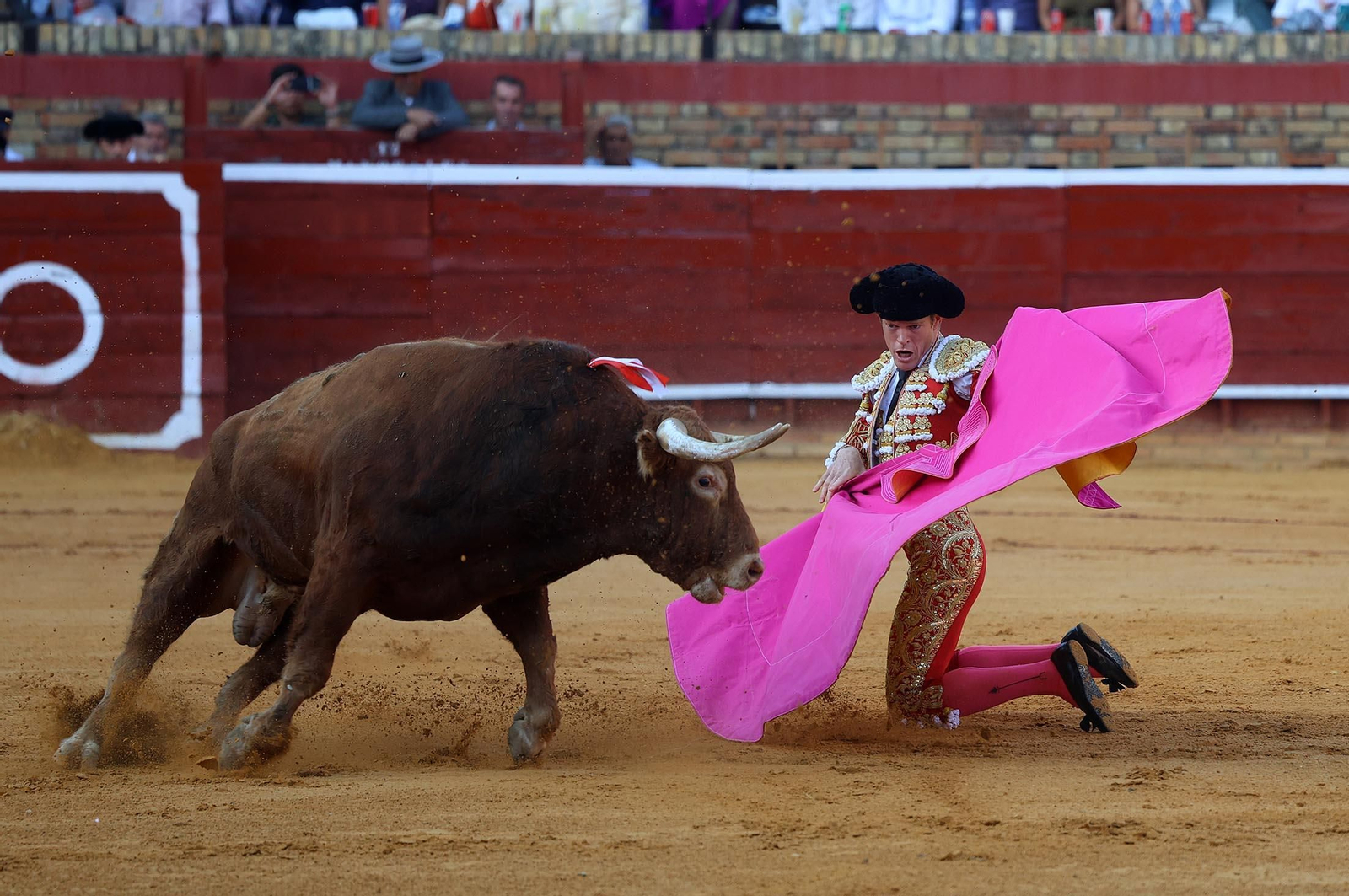 Toros La Merced 2025: Imágenes de la corrida de David de Miranda, Marco Pérez y Borja Jiménez