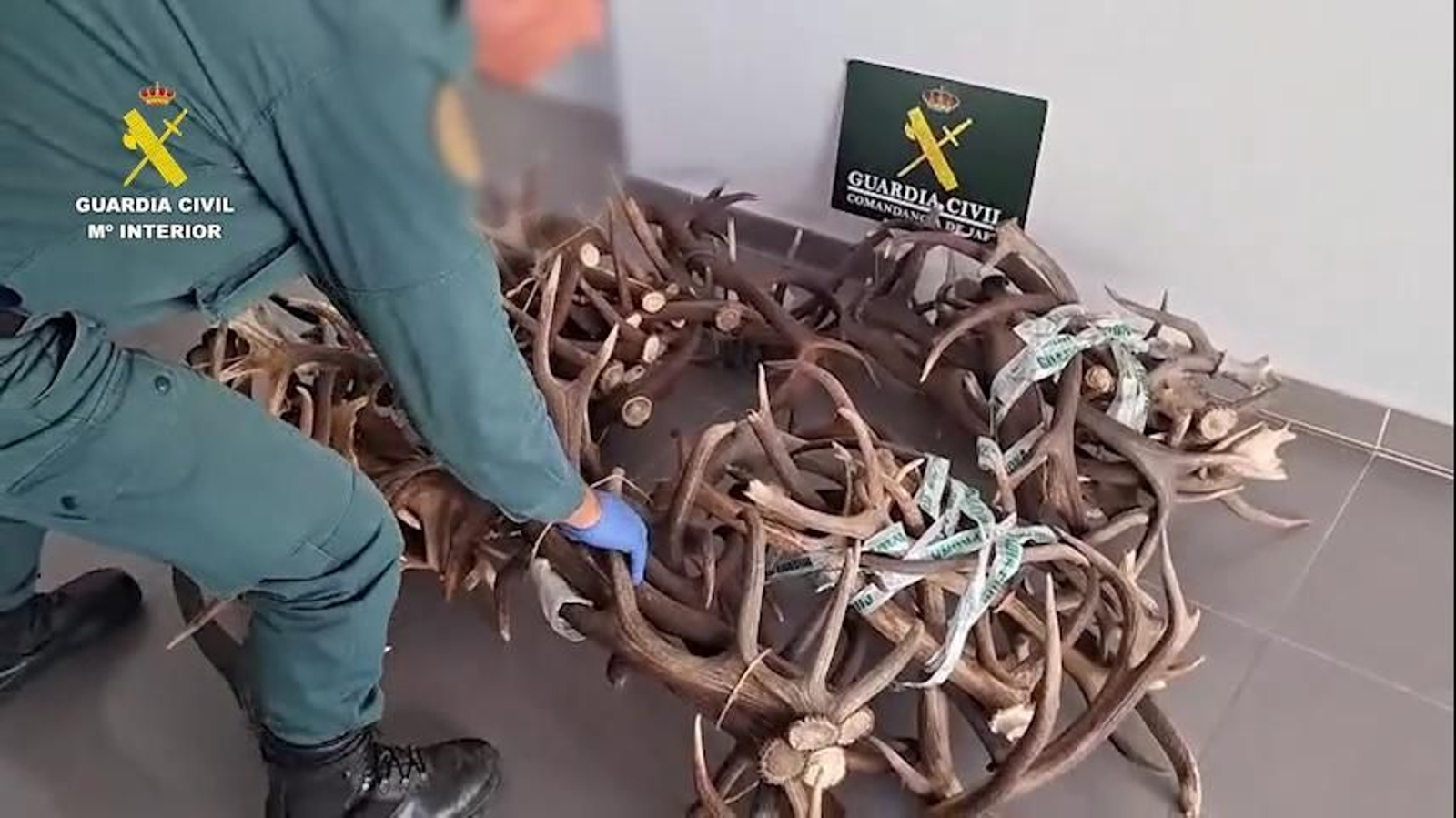 Cuatro detenidos por caza furtiva en Sierra Morena