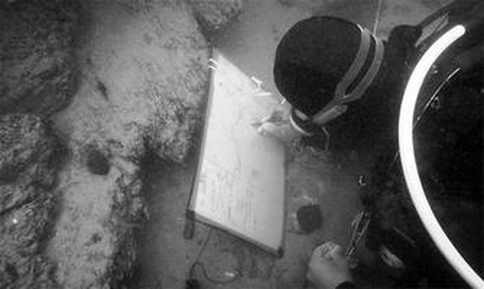 Cuatro de los nuevos programas de doctorado están relacionados con los Estudios del Mar.