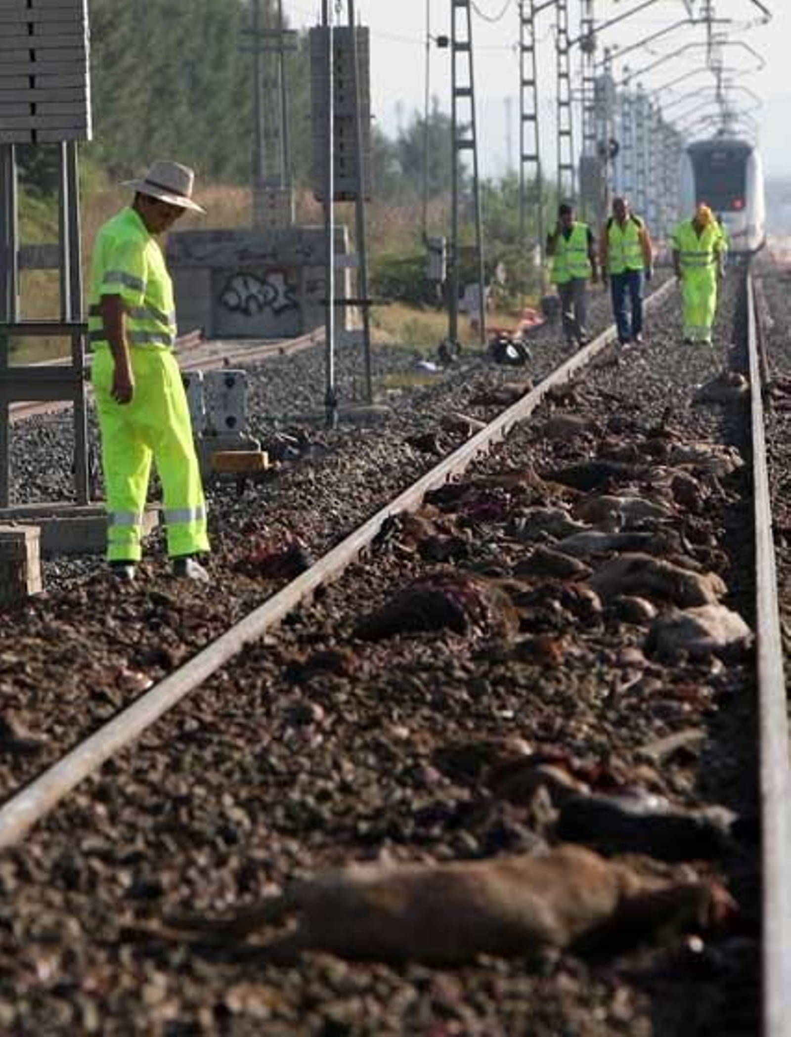 El convoy de media distancia Cádiz-Sevilla se salió de la vía a primera hora sin causar daños personales

Foto: Juan Carlos Toro