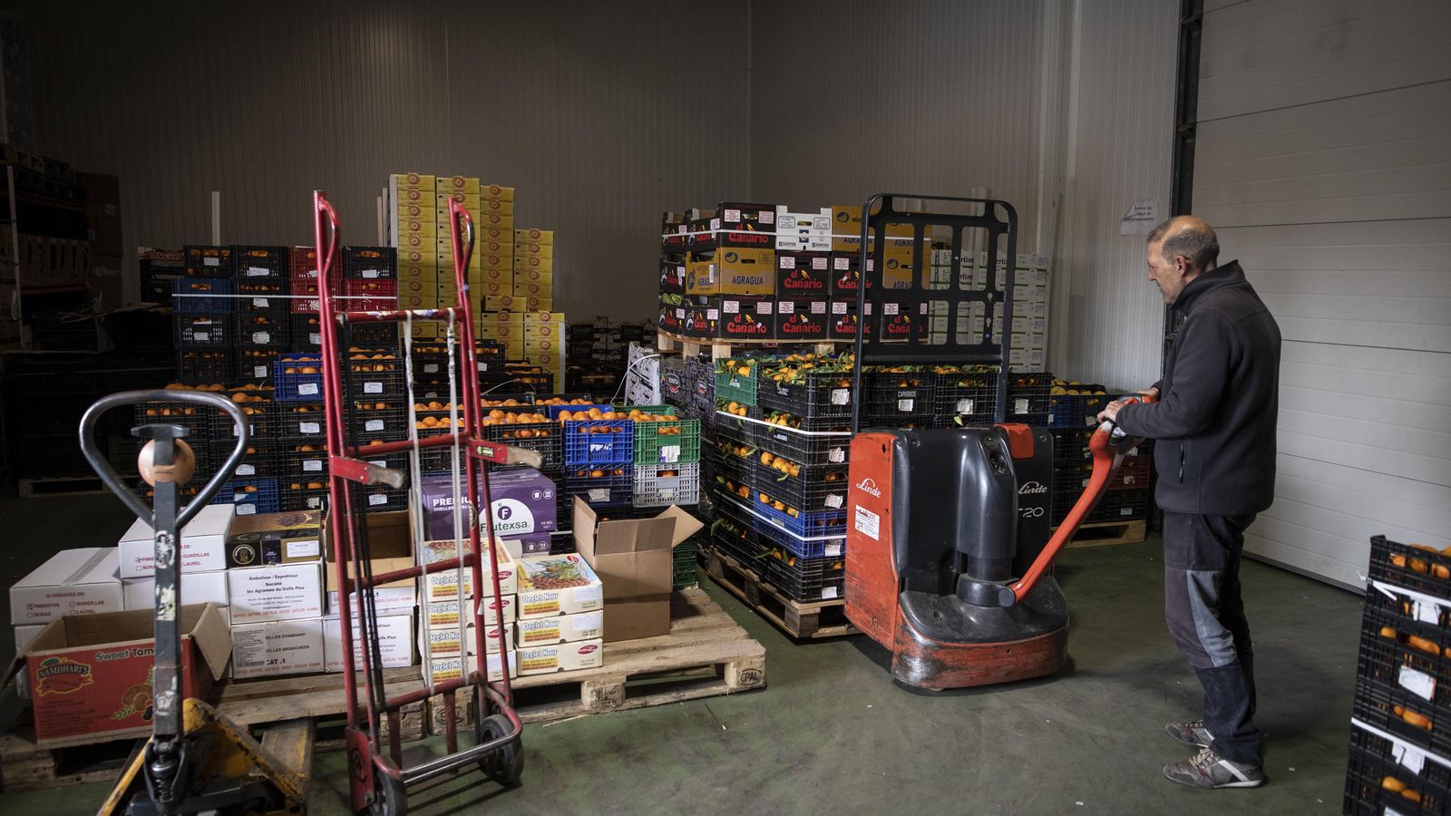 Un trabajador traslada varias cajas de fruta dentro de las instalaciones