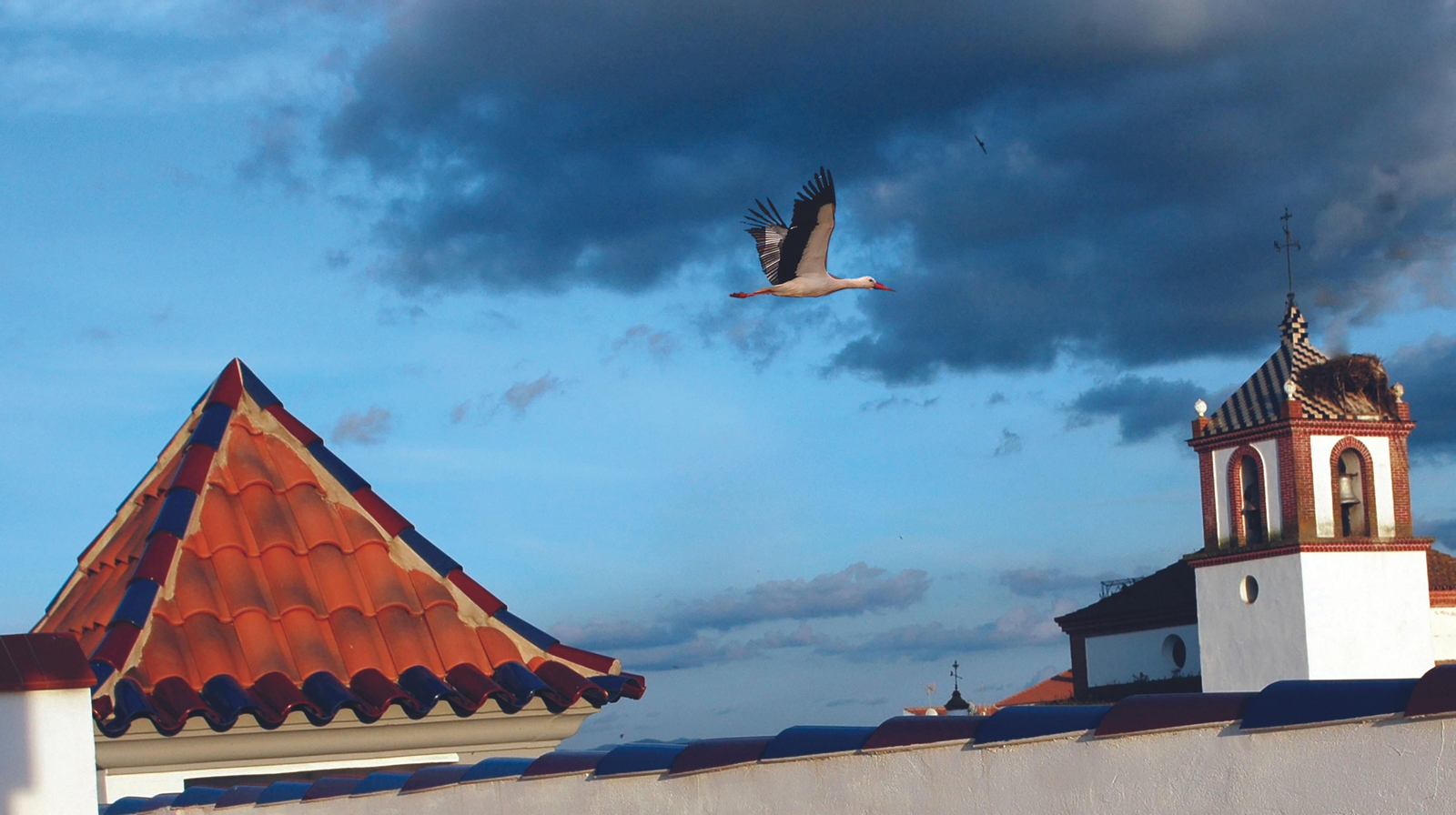 Conoce Rosal de la Frontera