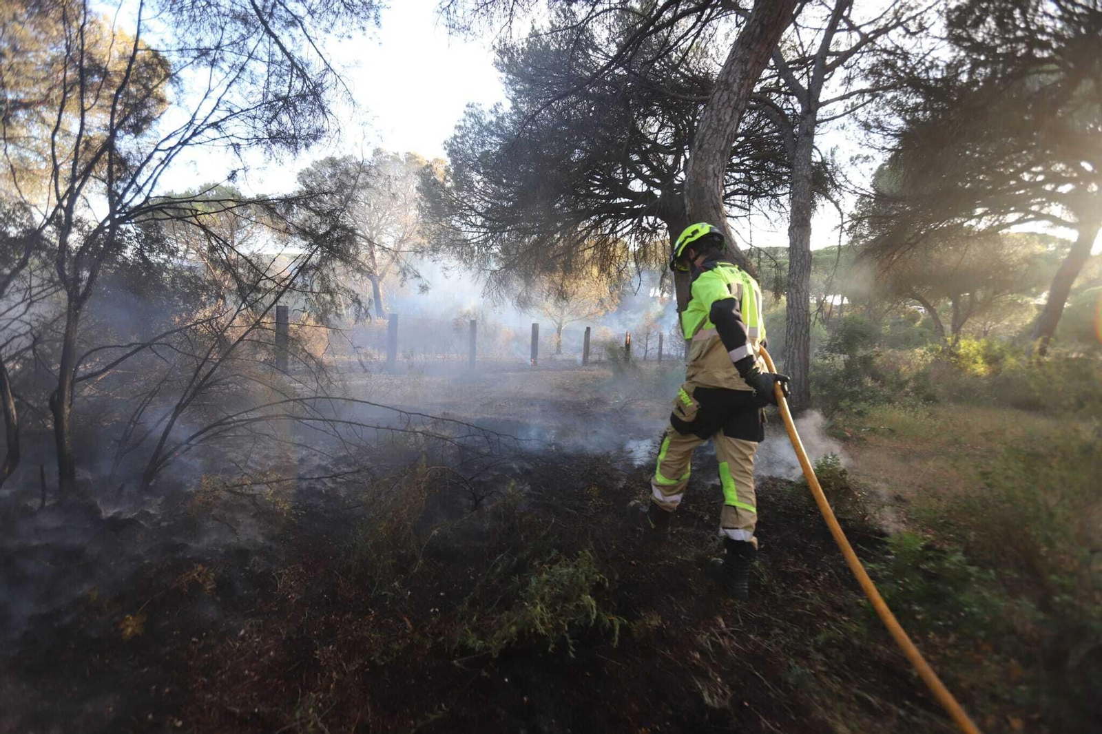 Fuego en la laguna de El Portil: las imágenes del incendio
