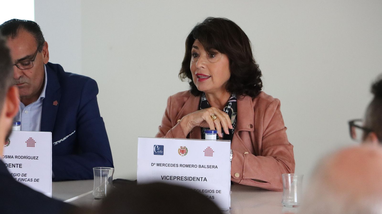 Mercedes Romero Balsera, vicepresidenta.