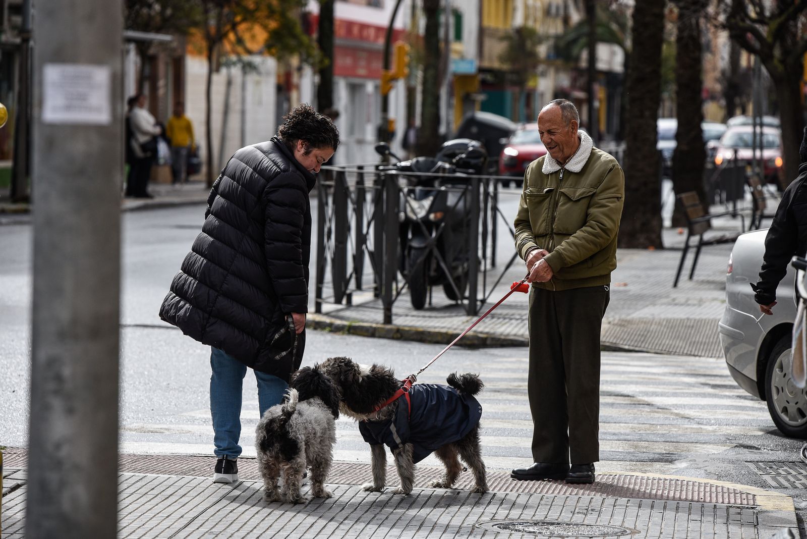 Imágenes de la mañana del domingo 12 de febrero en Huelva