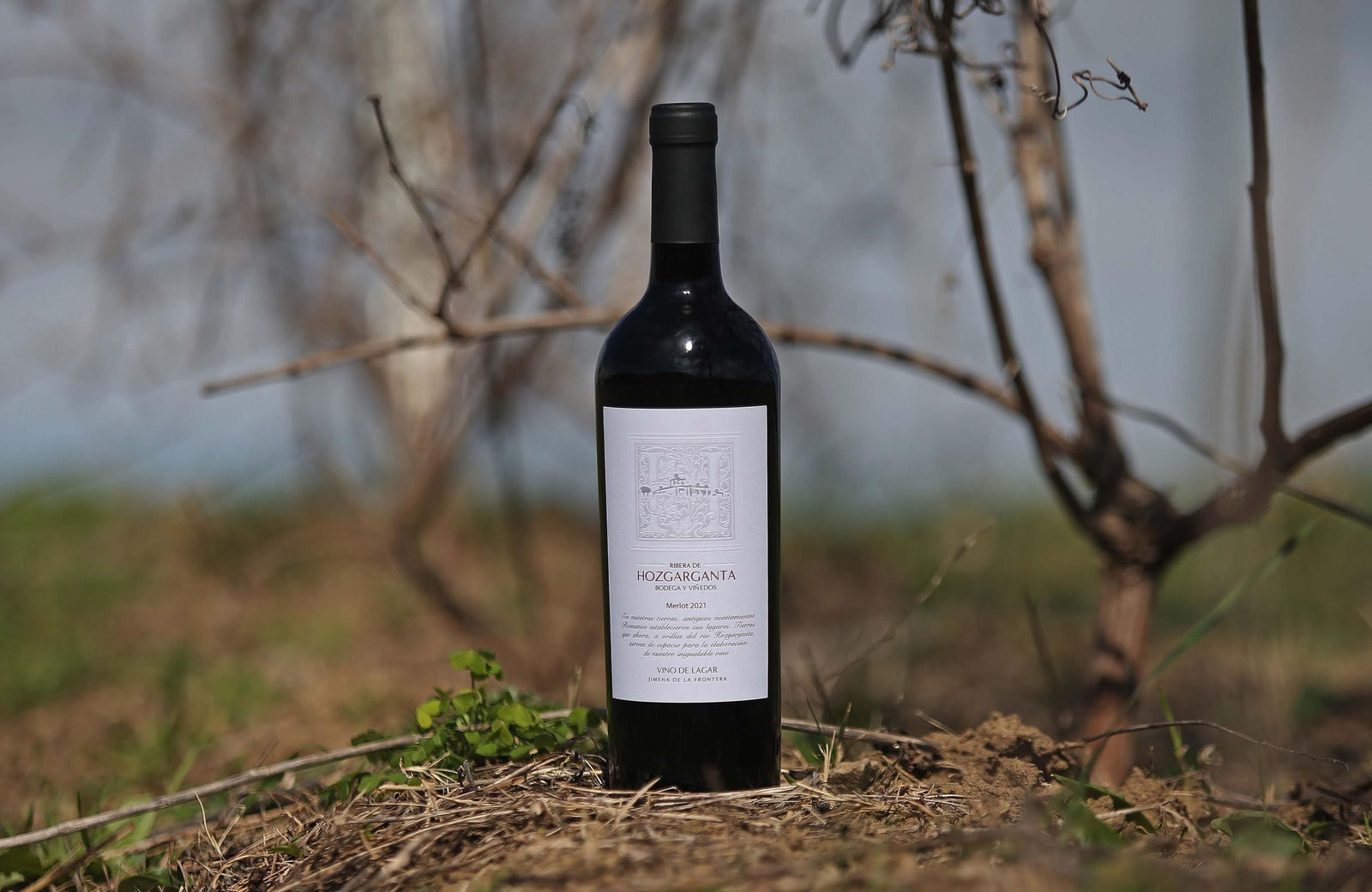 Fotos del lugar donde se produce Ribera de Hozgarganta, el primer vino del Campo de Gibraltar