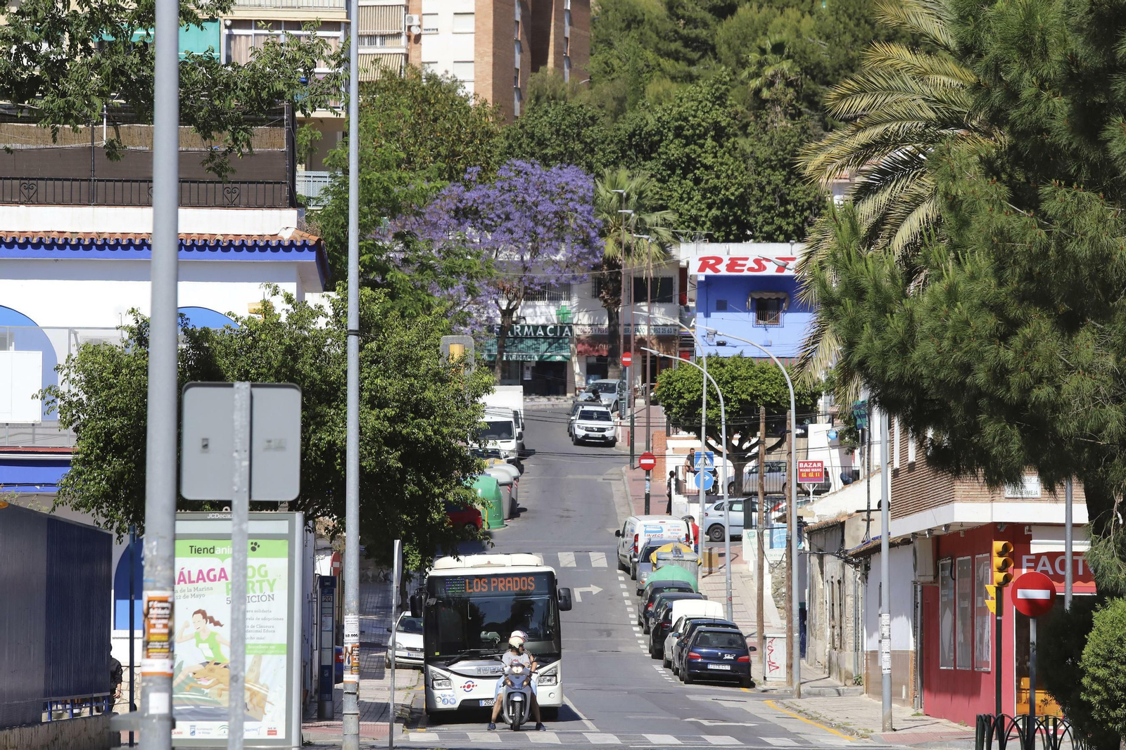 Las fotos de Ciudad Jardín