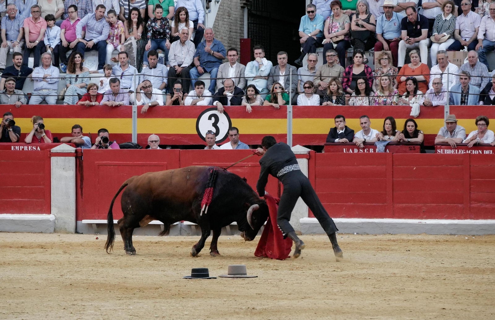 Festival taurino a beneficio de Down Granada