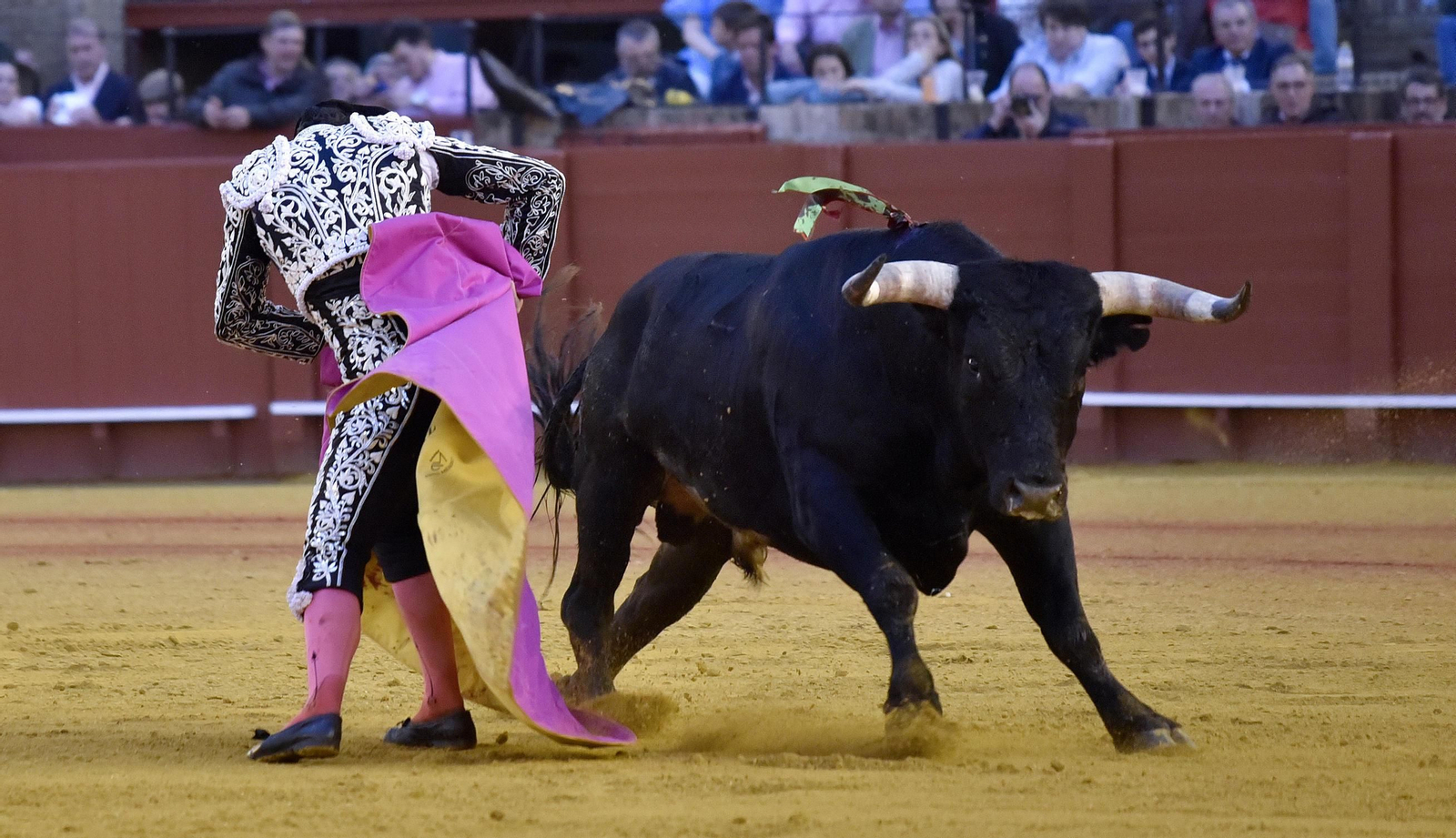 Las imágenes de la 14ª de abono de la Maestranza