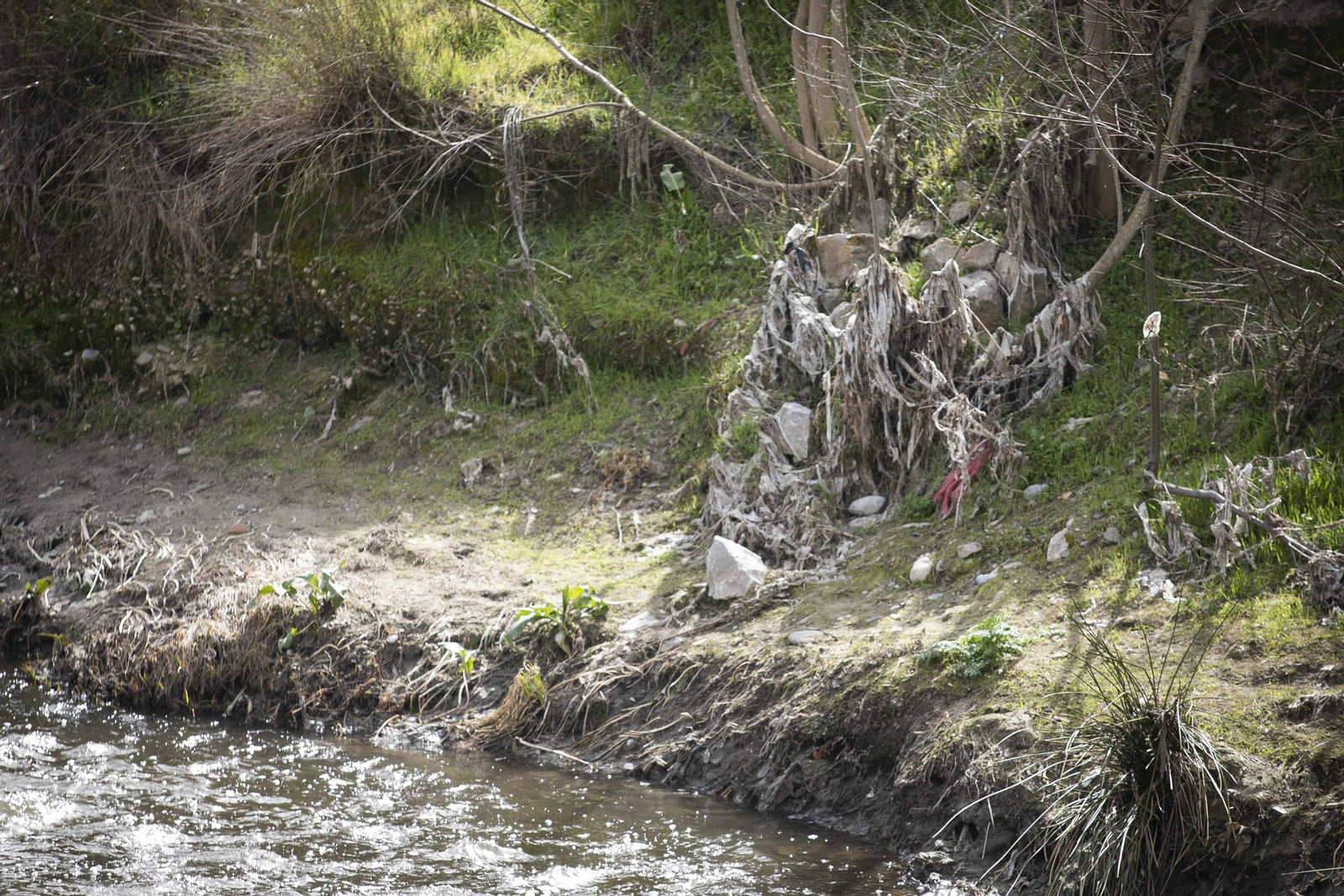 Fotos del 'cementerio' de toallitas que se acumula junto al río Genil en Granada