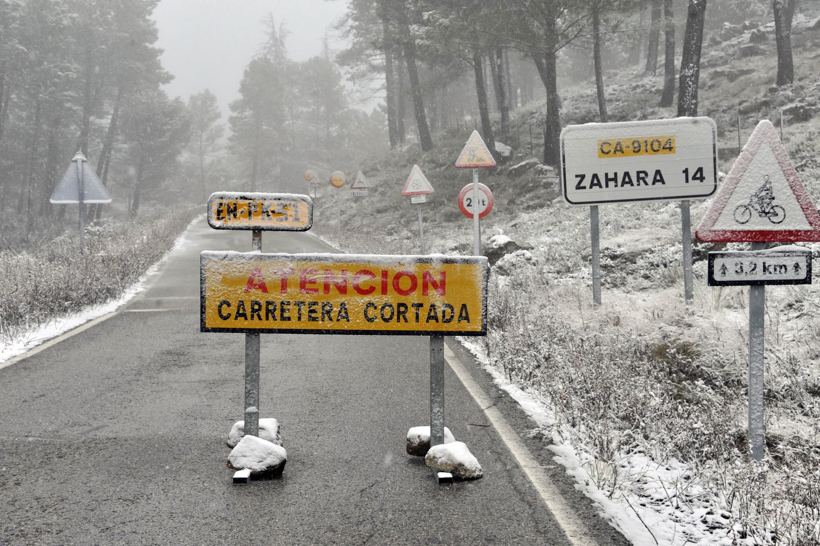 Nieve en la Sierra de Cádiz