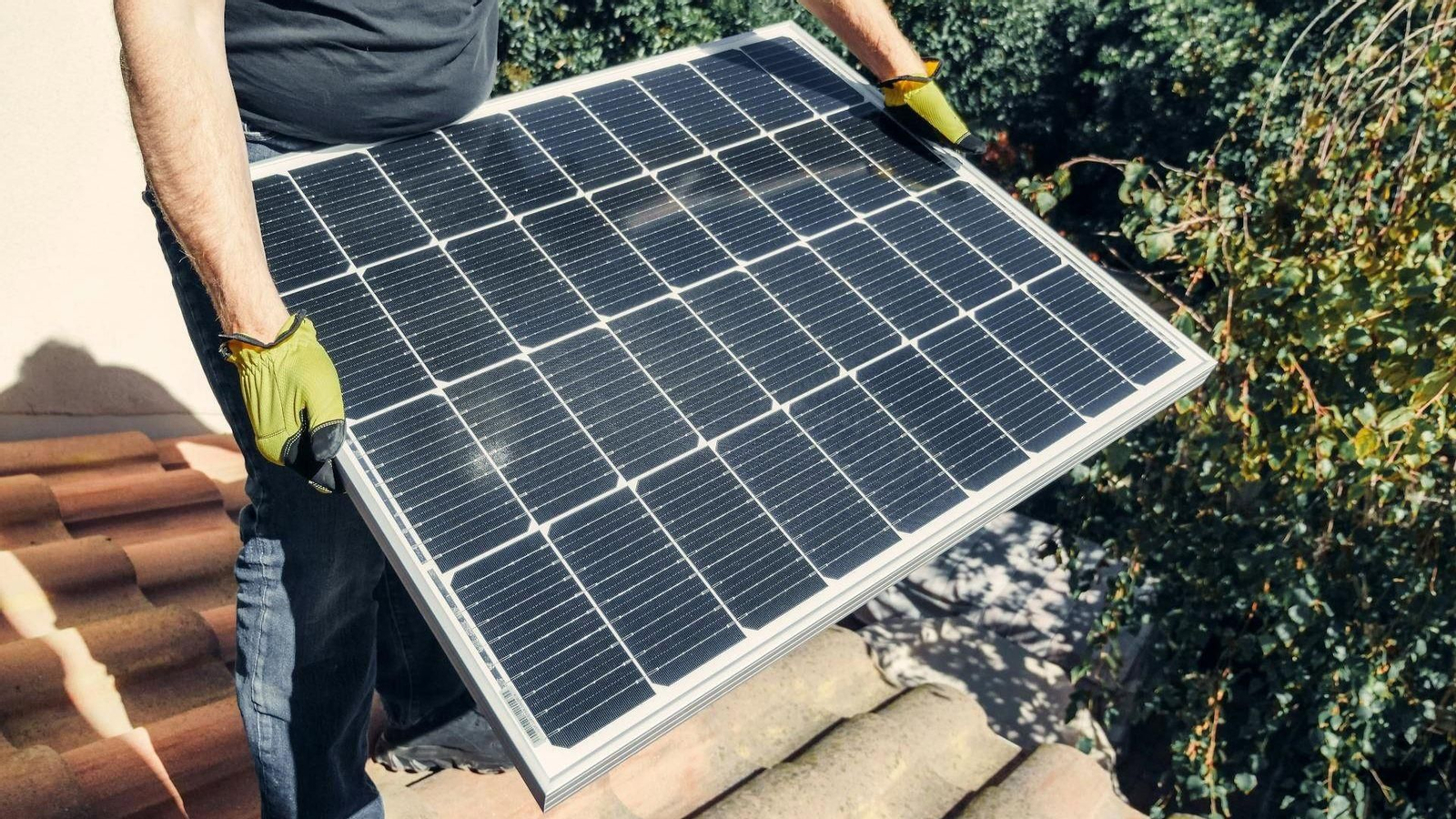 Paneles solares.
