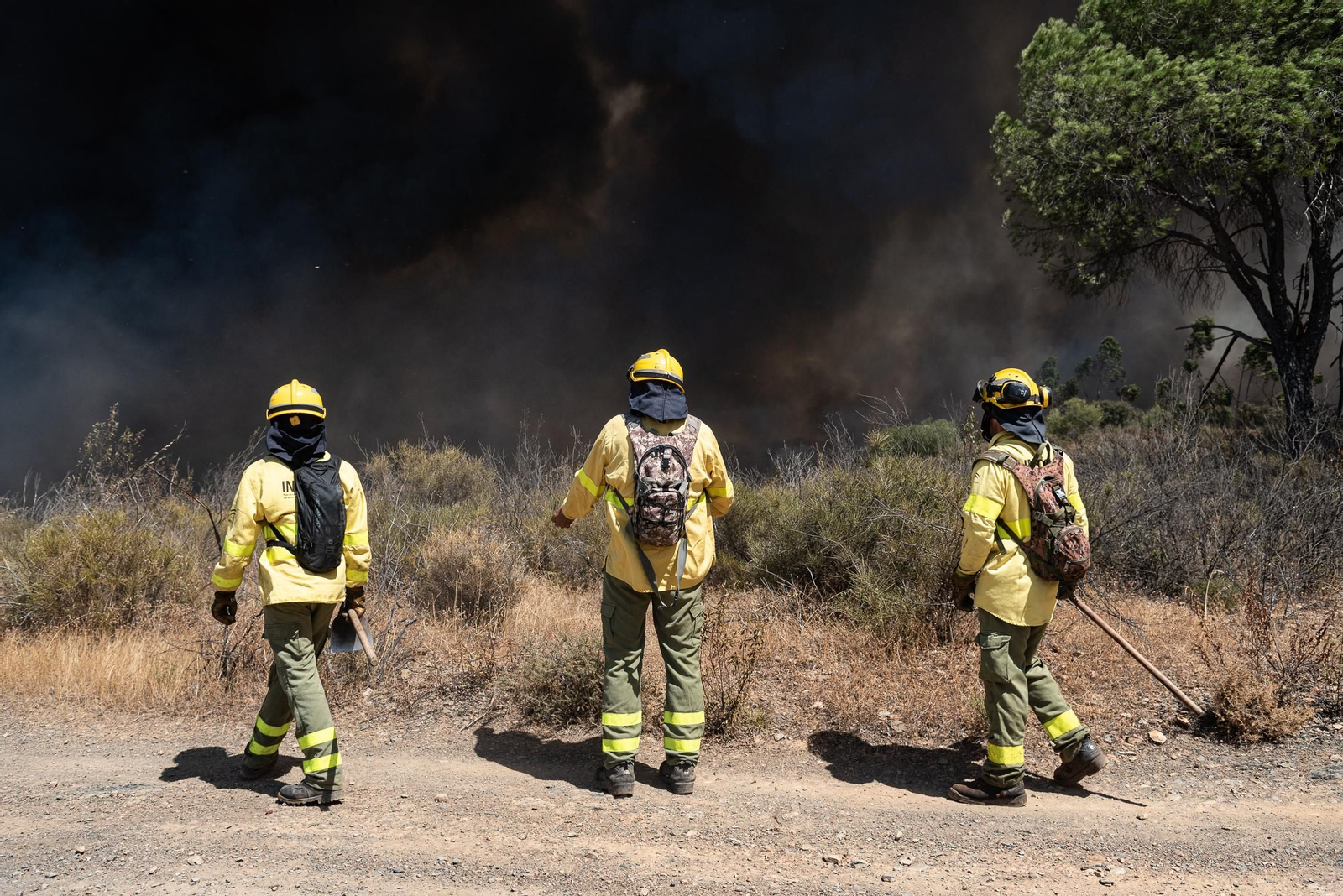 Imágenes del incendio de Almonaster a su paso por Zalamea