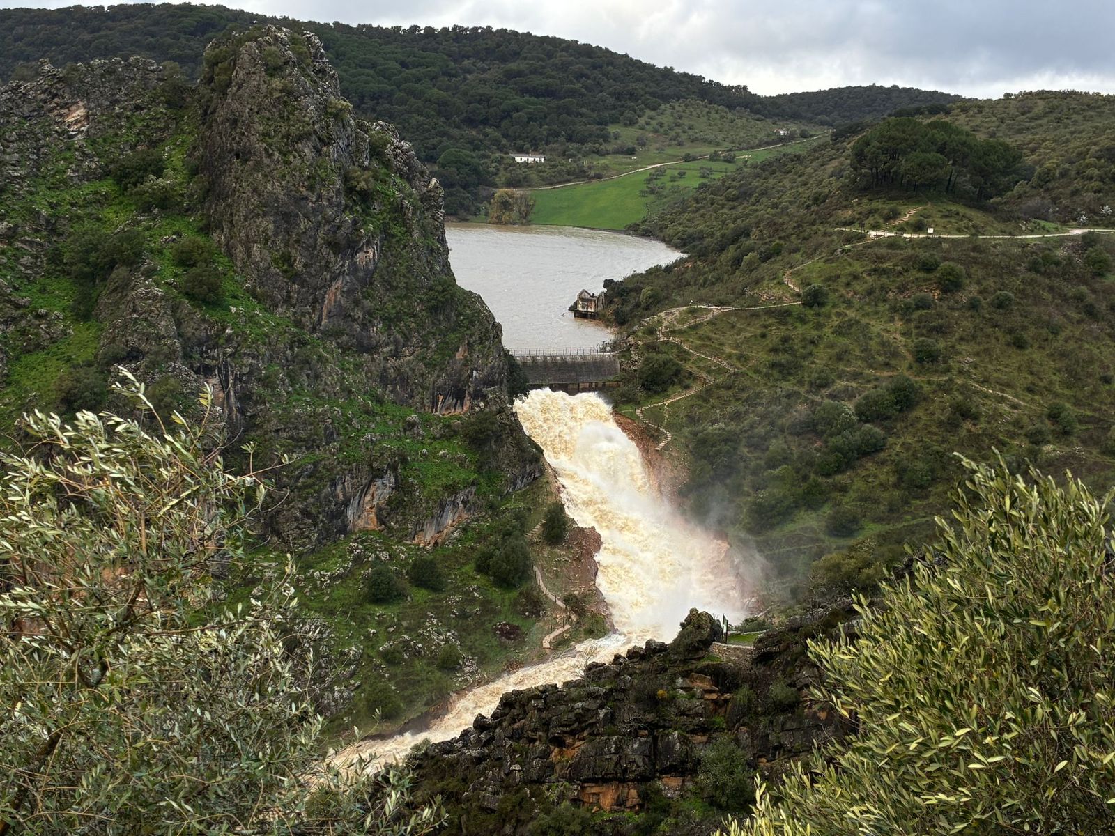 La presa de Montejaque desaguando tras alcanzar el límite de su capacidad, en imágenes
