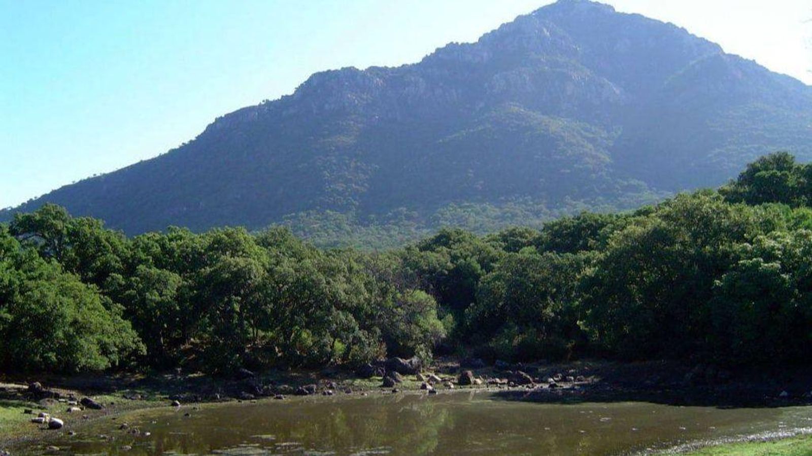 Ruta 'Subida al Pichacho' en Alcalá de los Gazules