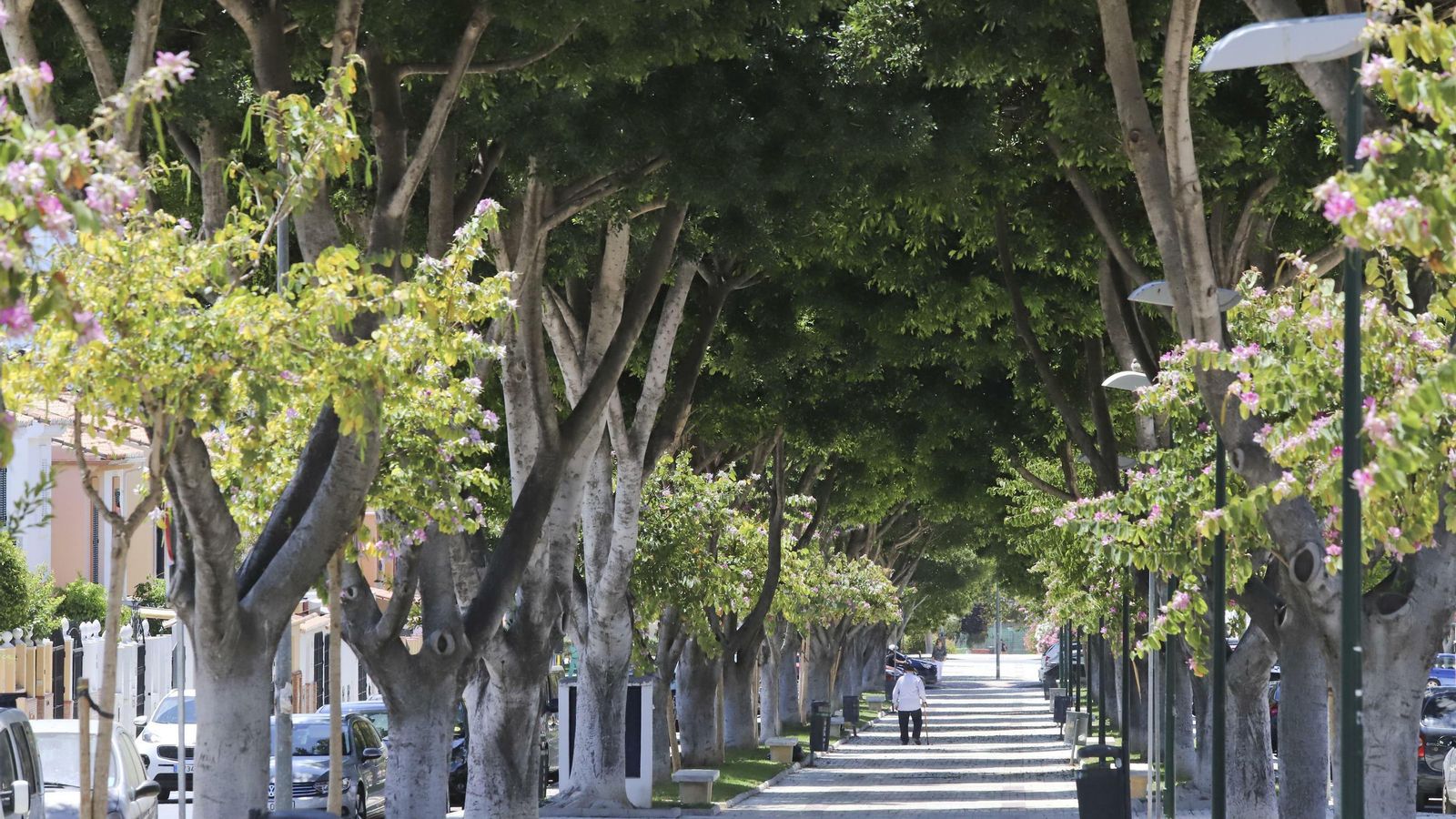 Zona residencial en el centro del distrito.