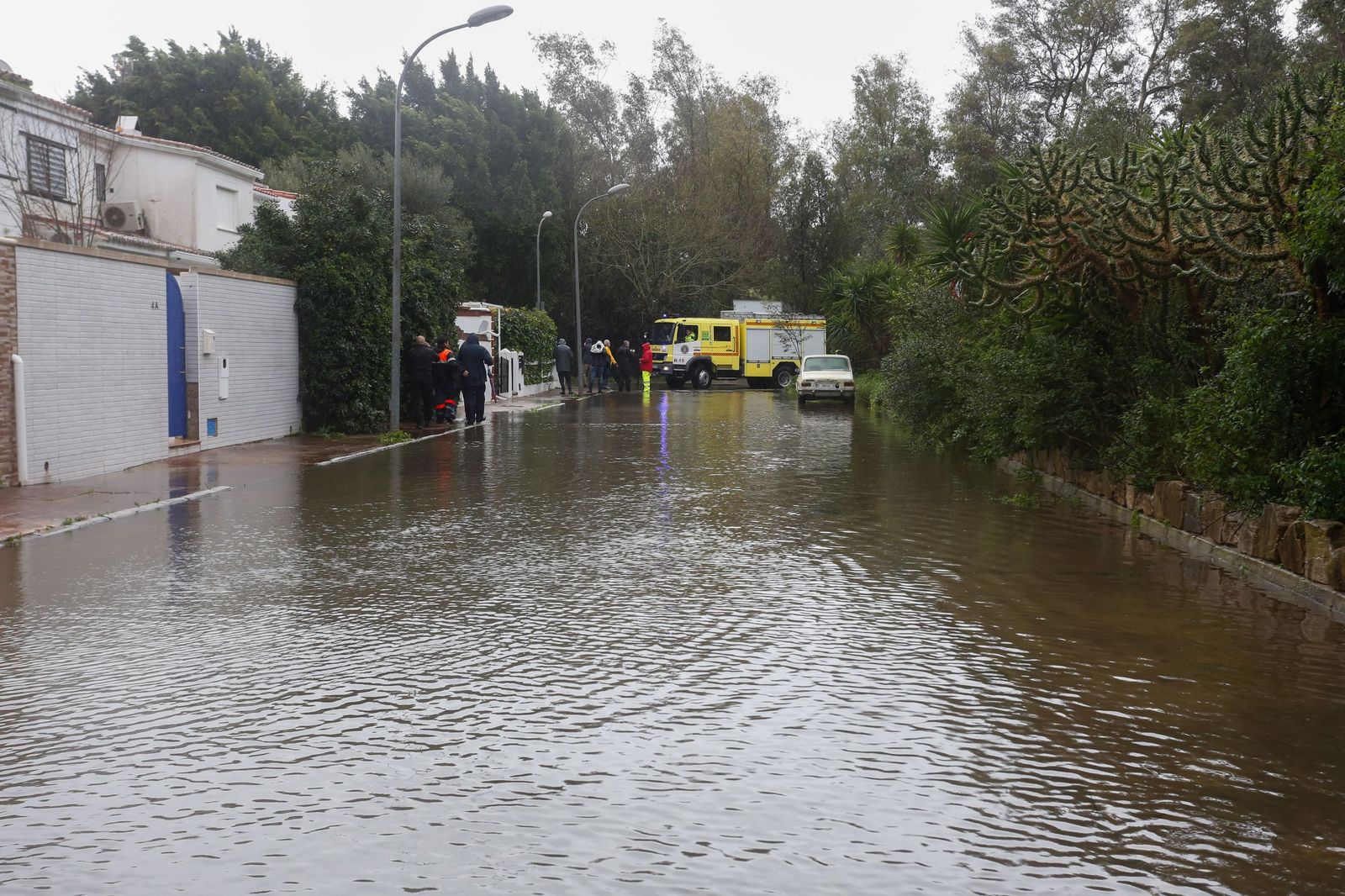Fotos: Así amaneció el Campo de Gibraltar tras el paso de la borrasca Leonardo